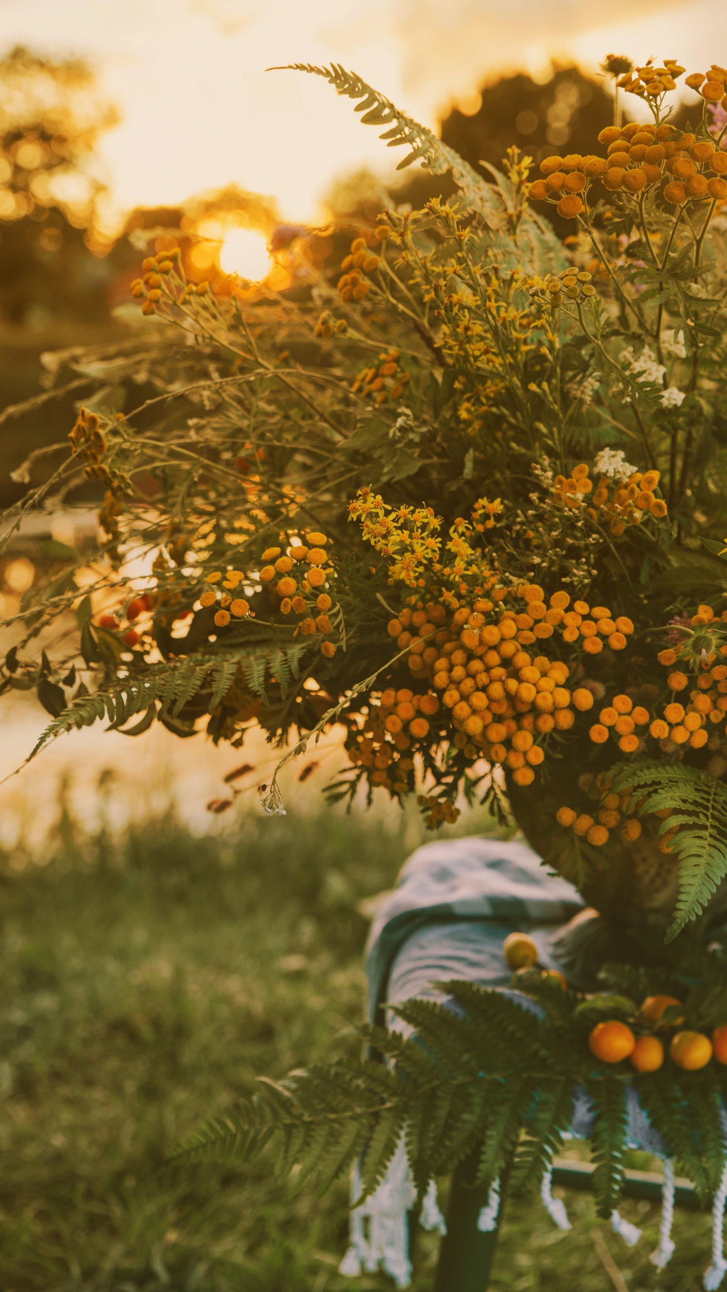 Plante Jaune et Verte Sur L'herbe Verte Pendant la Journée. Wallpaper in 1440x2560 Resolution