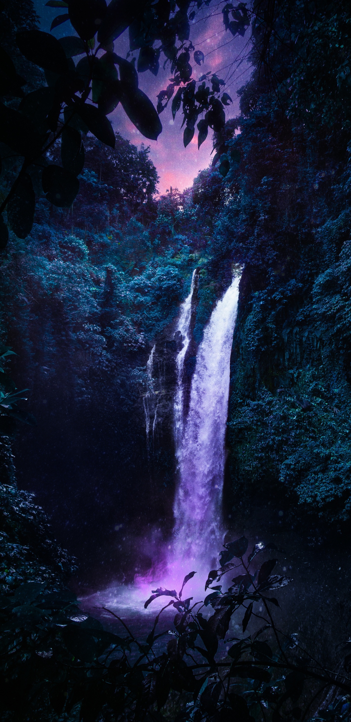 Waterfall, Water, Natural Landscape, Branch, Vegetation. Wallpaper in 1440x2960 Resolution