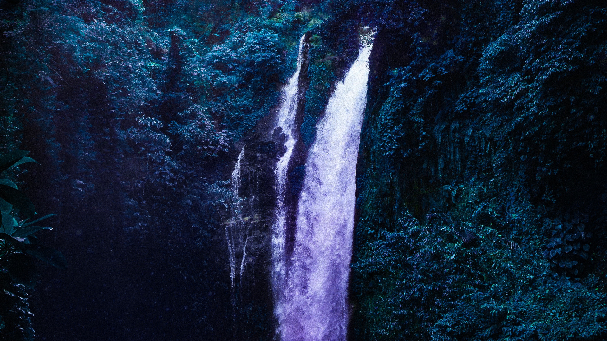 Waterfall, Water, Natural Landscape, Branch, Vegetation. Wallpaper in 2560x1440 Resolution