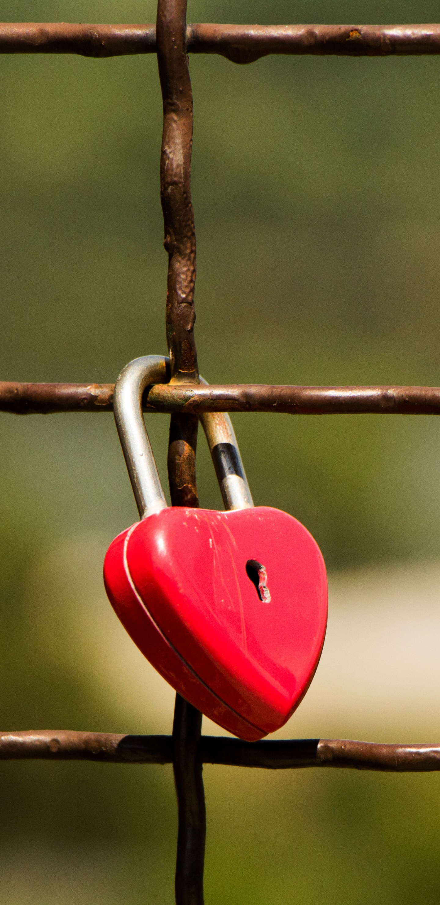 Bloqueo, Candado, Rojo, Verde, Madera. Wallpaper in 1440x2960 Resolution