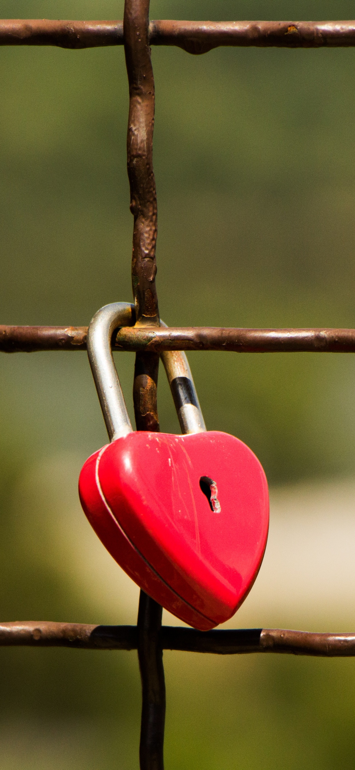Lock, Padlock, Red, Green, Wood. Wallpaper in 1242x2688 Resolution