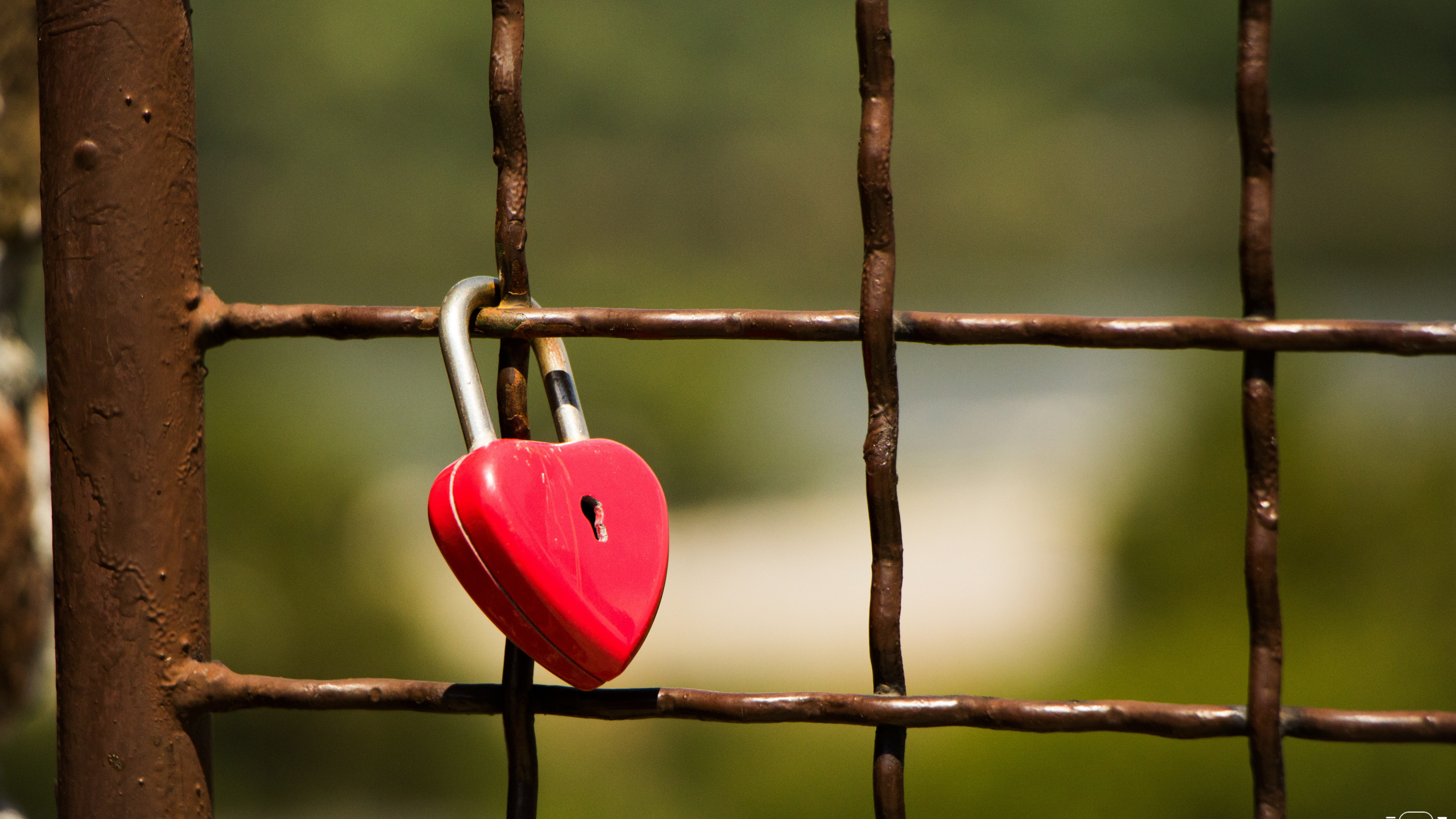 Lock, Padlock, Red, Green, Wood. Wallpaper in 3840x2160 Resolution