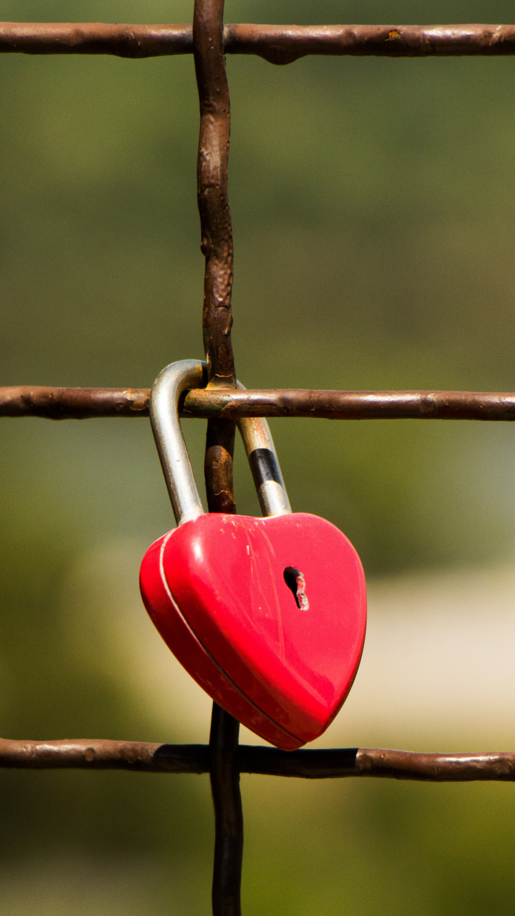 锁定, 挂锁, 红色的, 绿色的, 木 壁纸 750x1334 允许