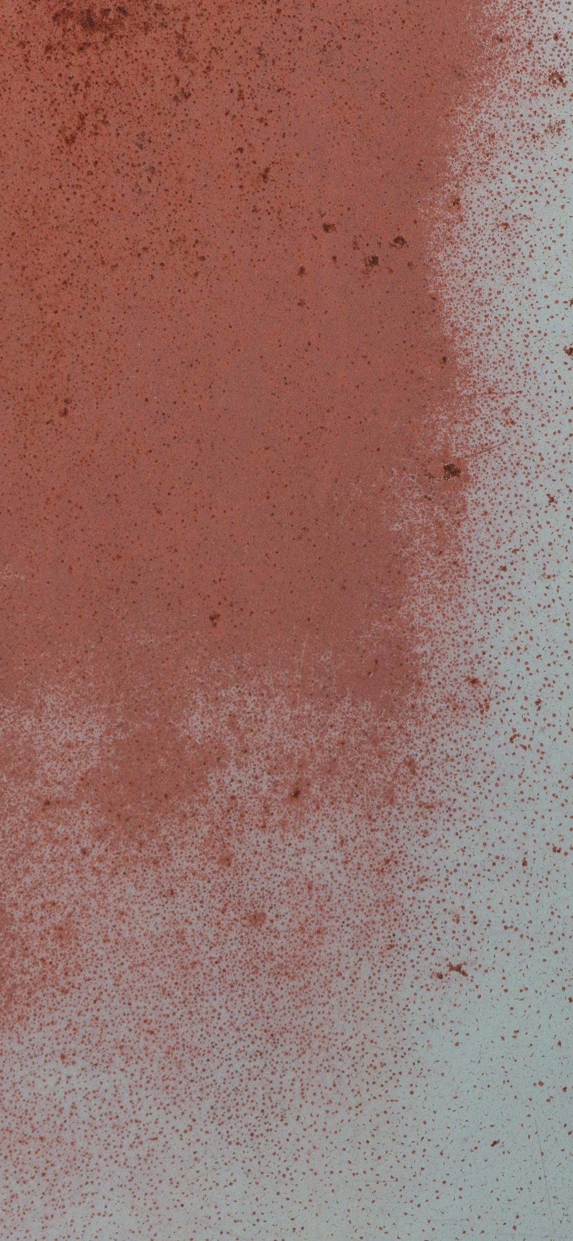 Chien Blanc et Noir Sur le Sable Brun. Wallpaper in 1125x2436 Resolution