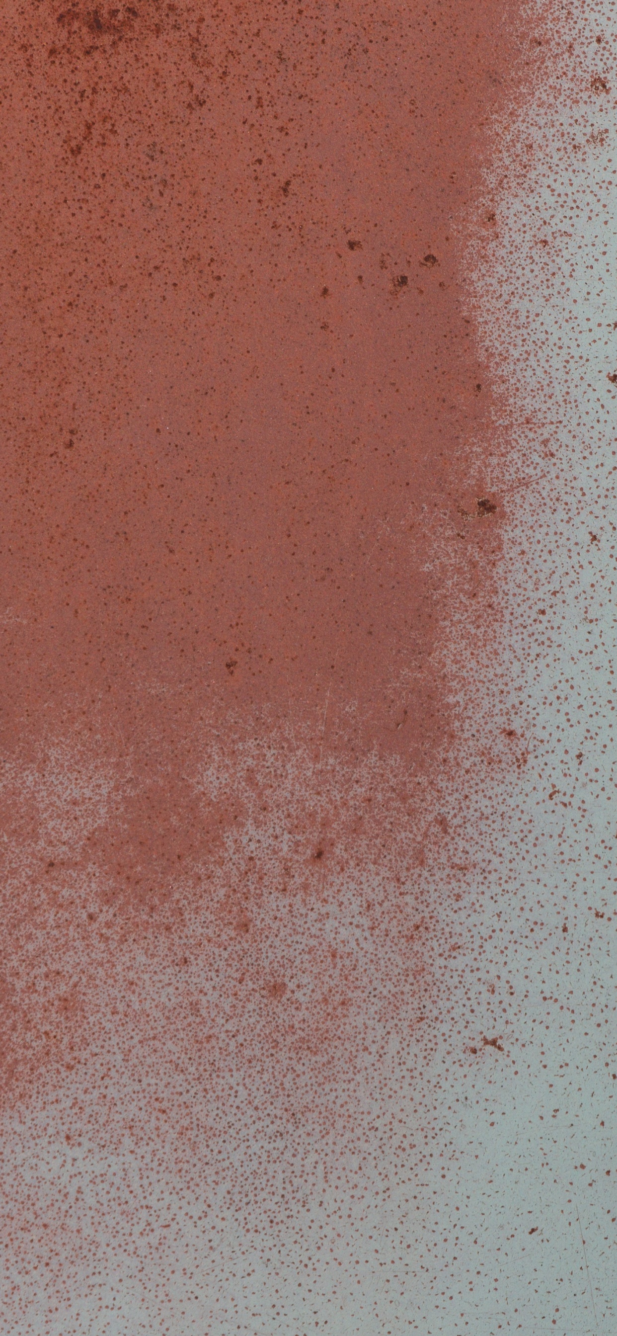 Chien Blanc et Noir Sur le Sable Brun. Wallpaper in 1242x2688 Resolution