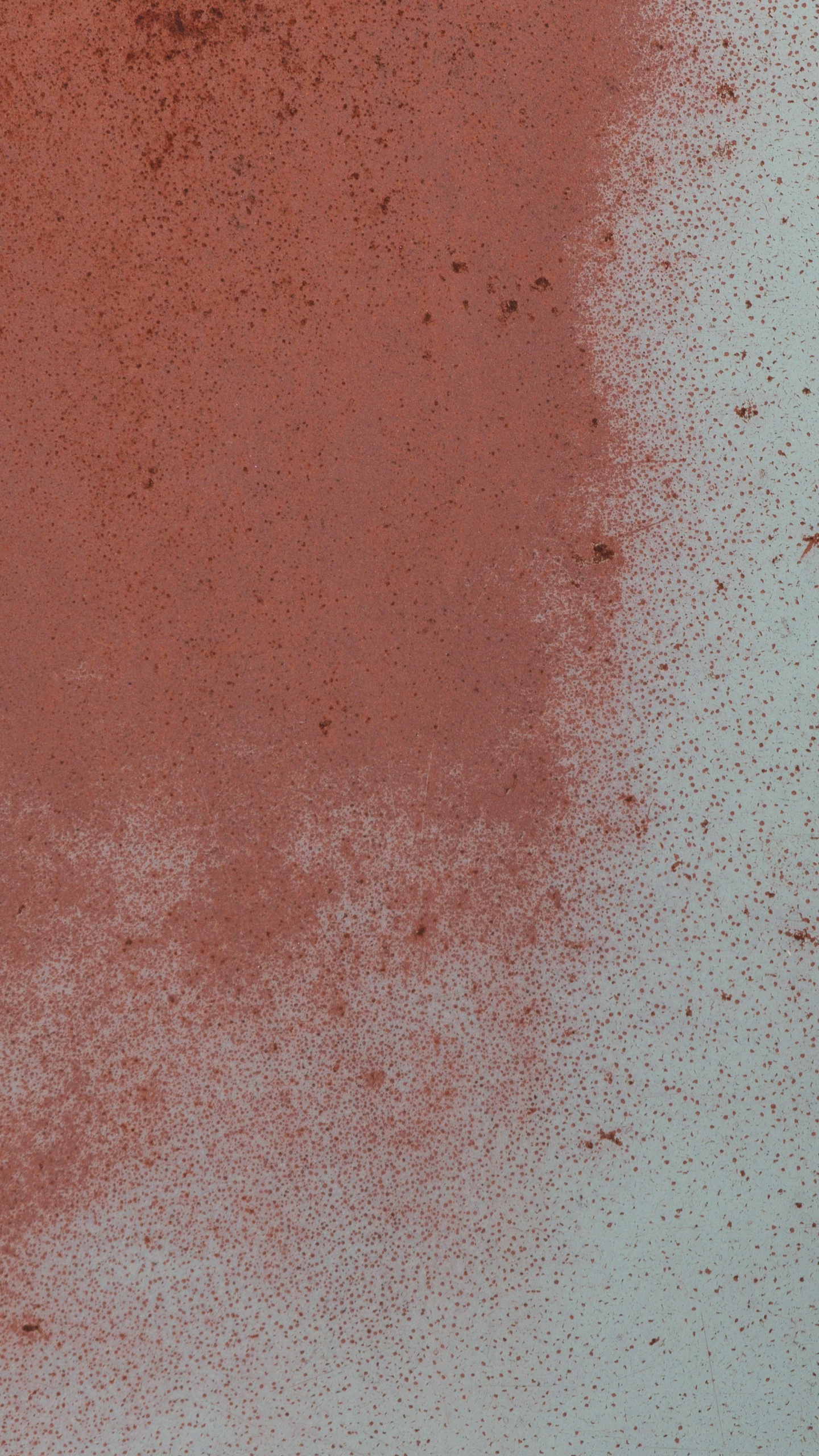 Chien Blanc et Noir Sur le Sable Brun. Wallpaper in 1440x2560 Resolution