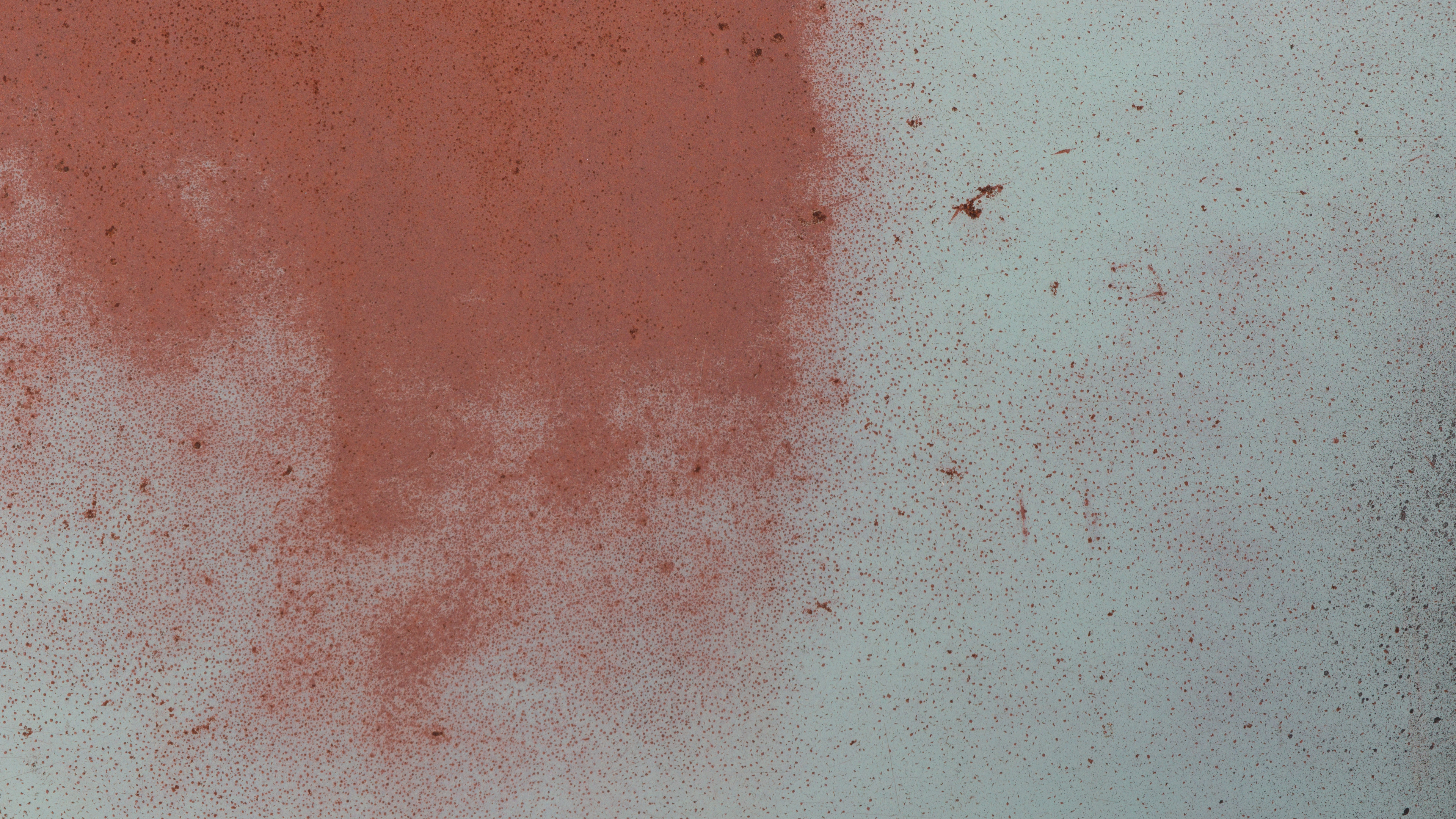 Chien Blanc et Noir Sur le Sable Brun. Wallpaper in 3840x2160 Resolution