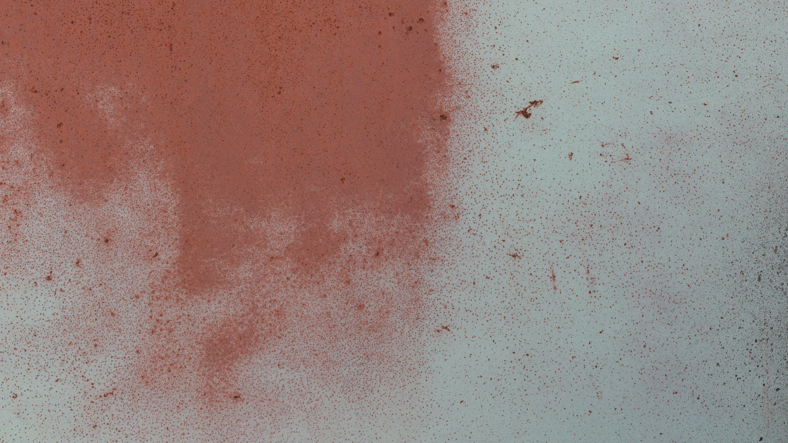 Perro Blanco y Negro Sobre Arena Marrón. Wallpaper in 2560x1440 Resolution