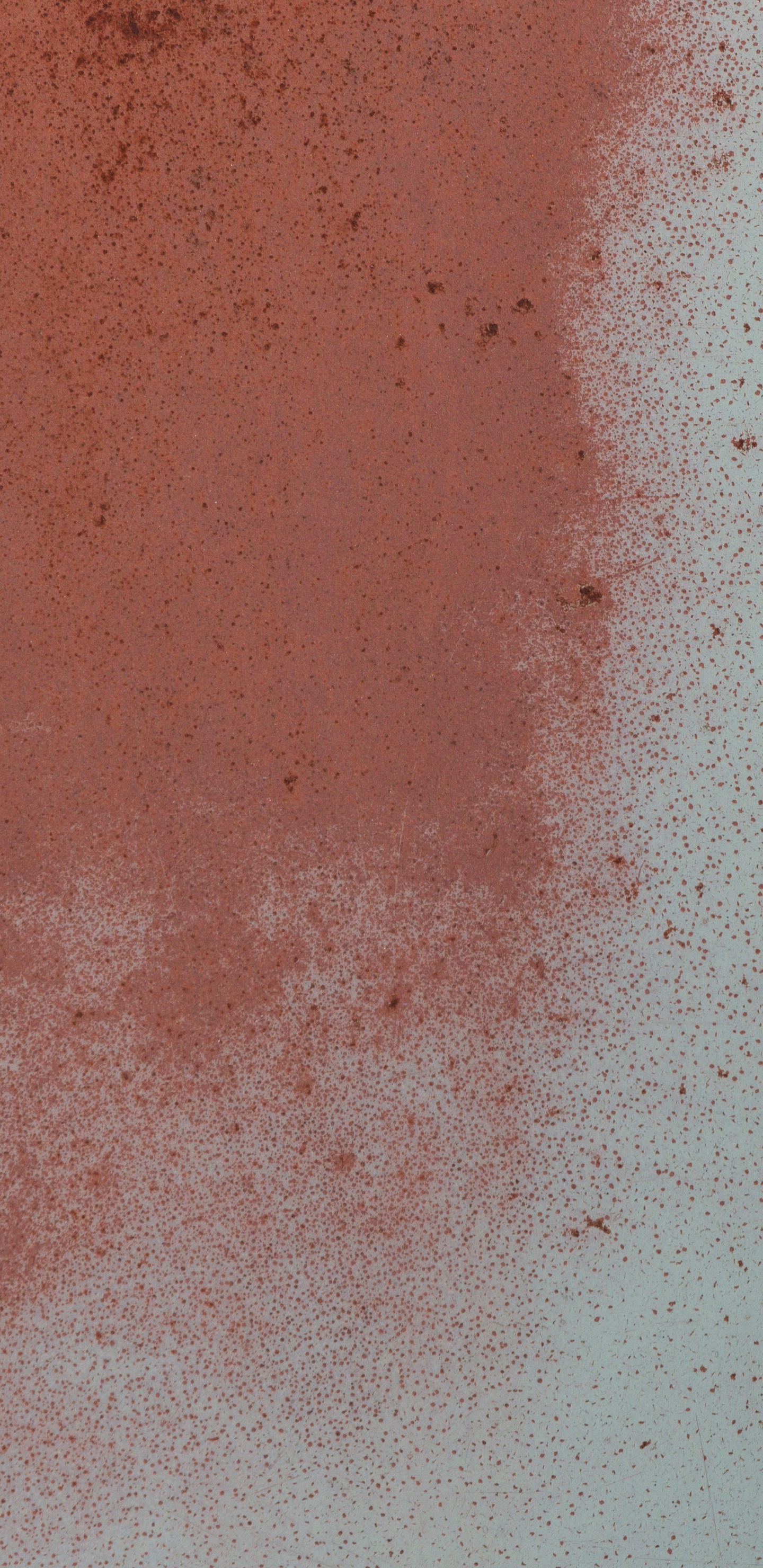 Weißer Und Schwarzer Hund Auf Braunem Sand. Wallpaper in 1440x2960 Resolution