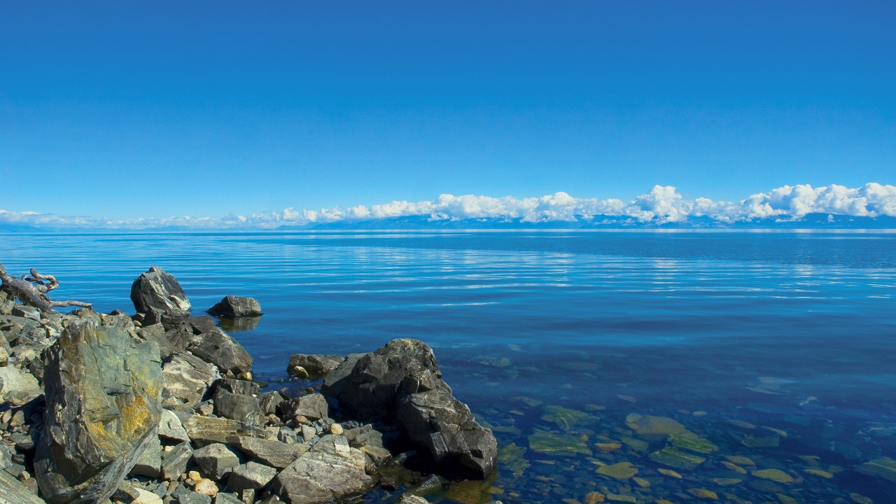 Graue Felsen in Der Nähe Von Gewässern Tagsüber. Wallpaper in 1280x720 Resolution