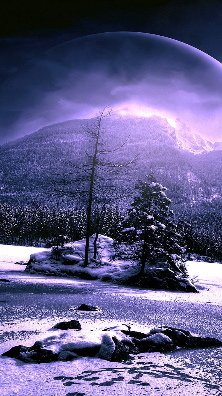 Schneebedecktes Feld Mit Bäumen Und Berg in Der Ferne. Wallpaper in 750x1334 Resolution