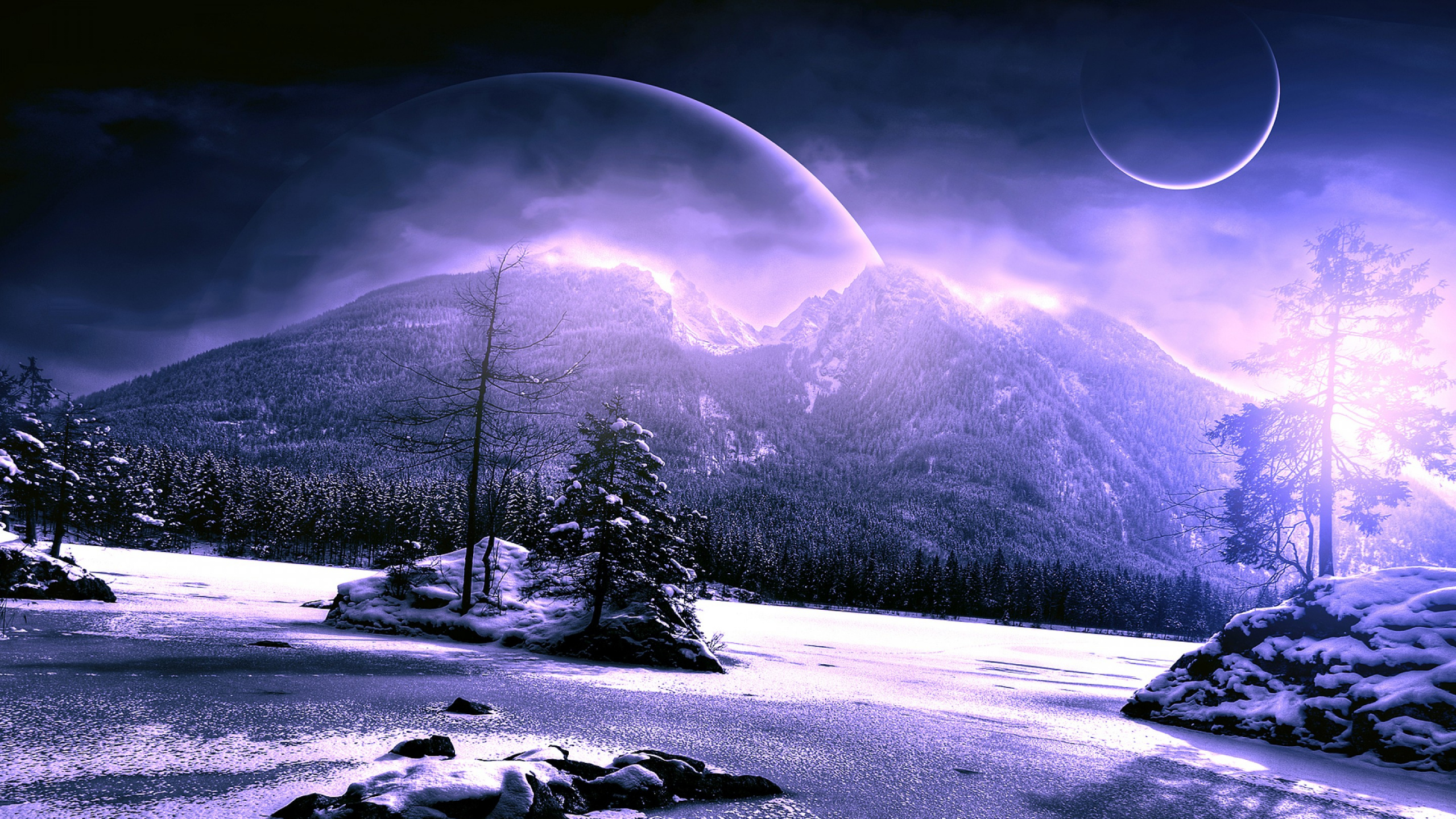 Snow Covered Field With Trees and Mountain in Distance. Wallpaper in 2560x1440 Resolution