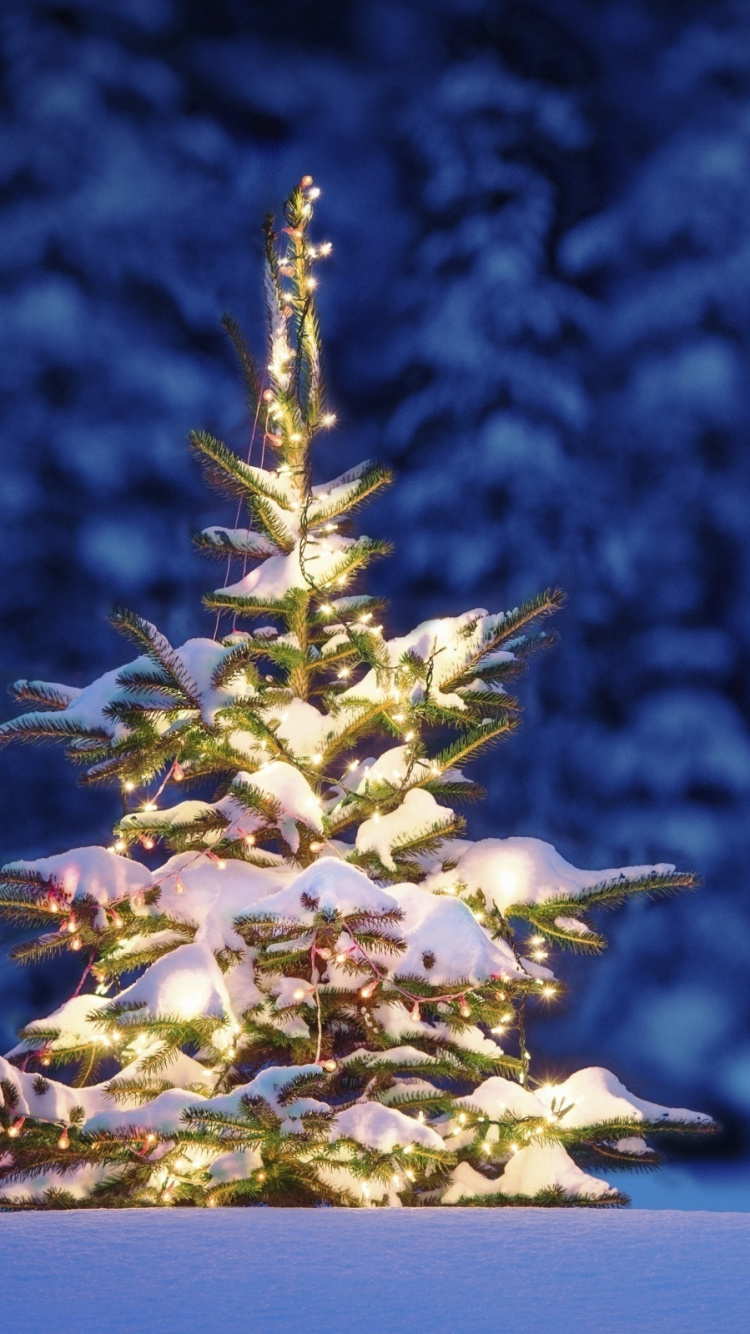 Weihnachtsbaum, Weihnachten, Baum, Winter, Familie Kiefer. Wallpaper in 750x1334 Resolution