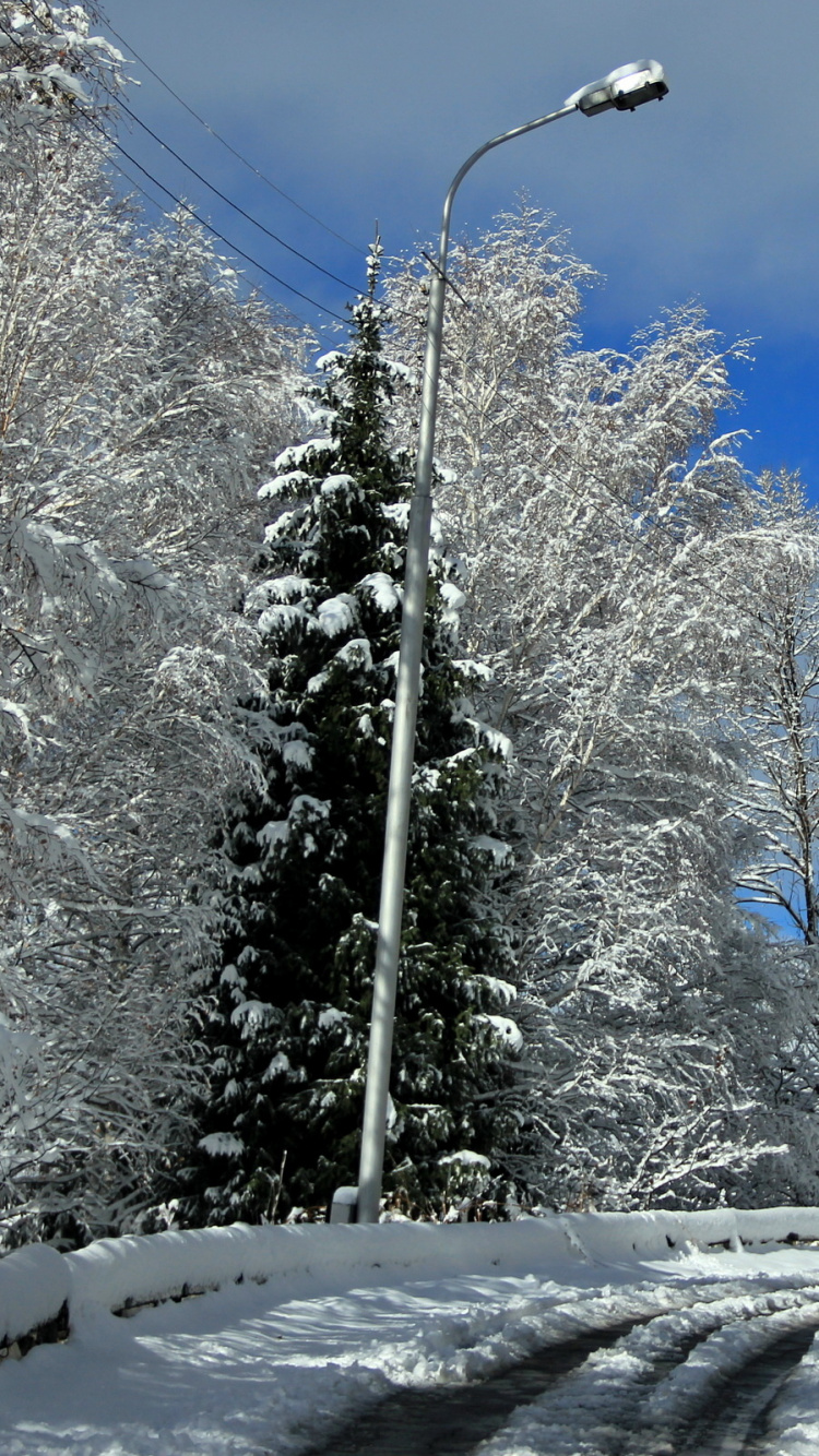 Arbres Couverts de Neige Sous Ciel Bleu Pendant la Journée. Wallpaper in 750x1334 Resolution
