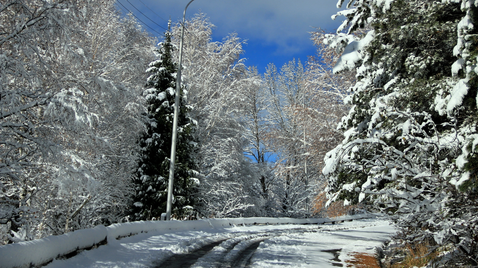 Snow Covered Trees Under Blue Sky During Daytime. Wallpaper in 1920x1080 Resolution