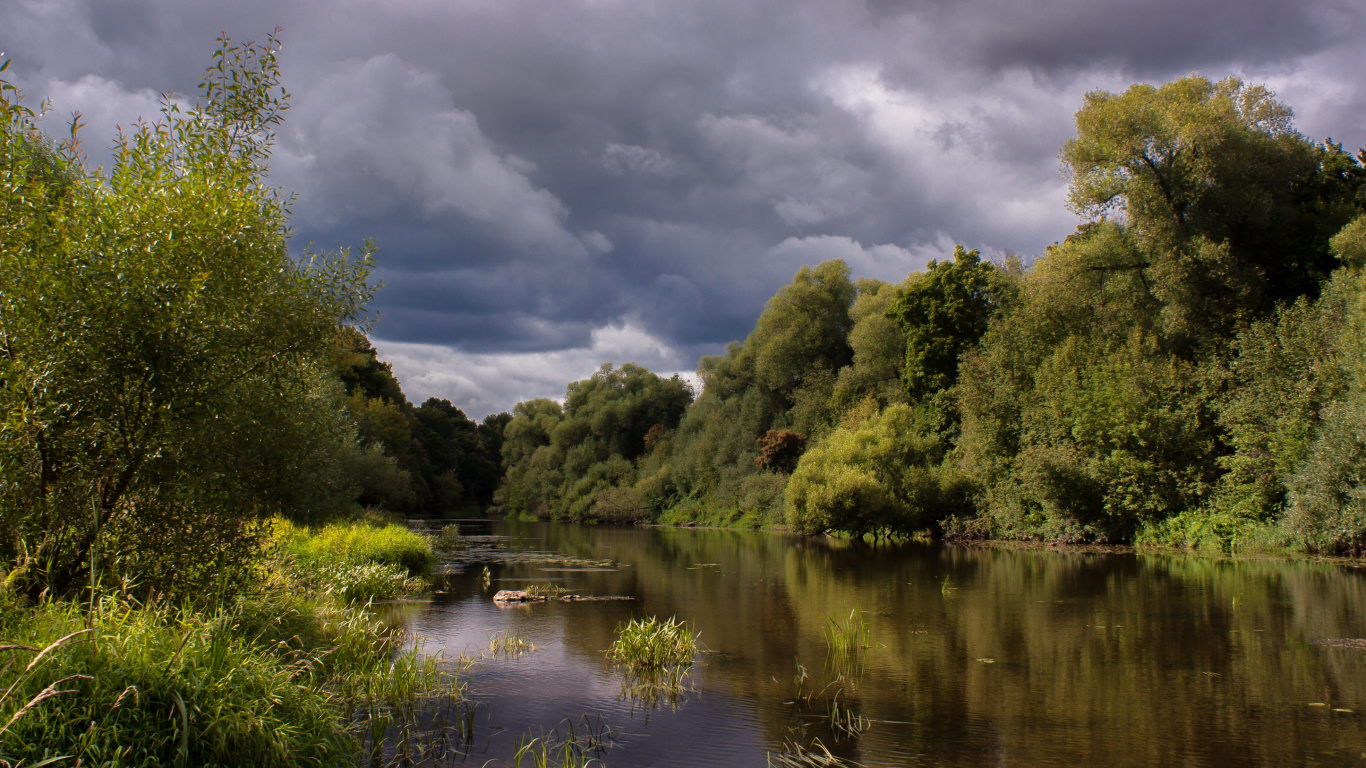 Arbres Verts à Côté de la Rivière Sous un Ciel Nuageux Pendant la Journée. Wallpaper in 1366x768 Resolution