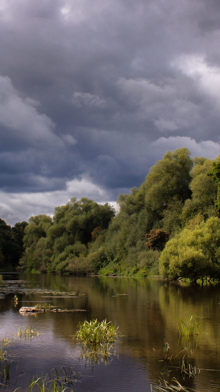 Arbres Verts à Côté de la Rivière Sous un Ciel Nuageux Pendant la Journée. Wallpaper in 750x1334 Resolution
