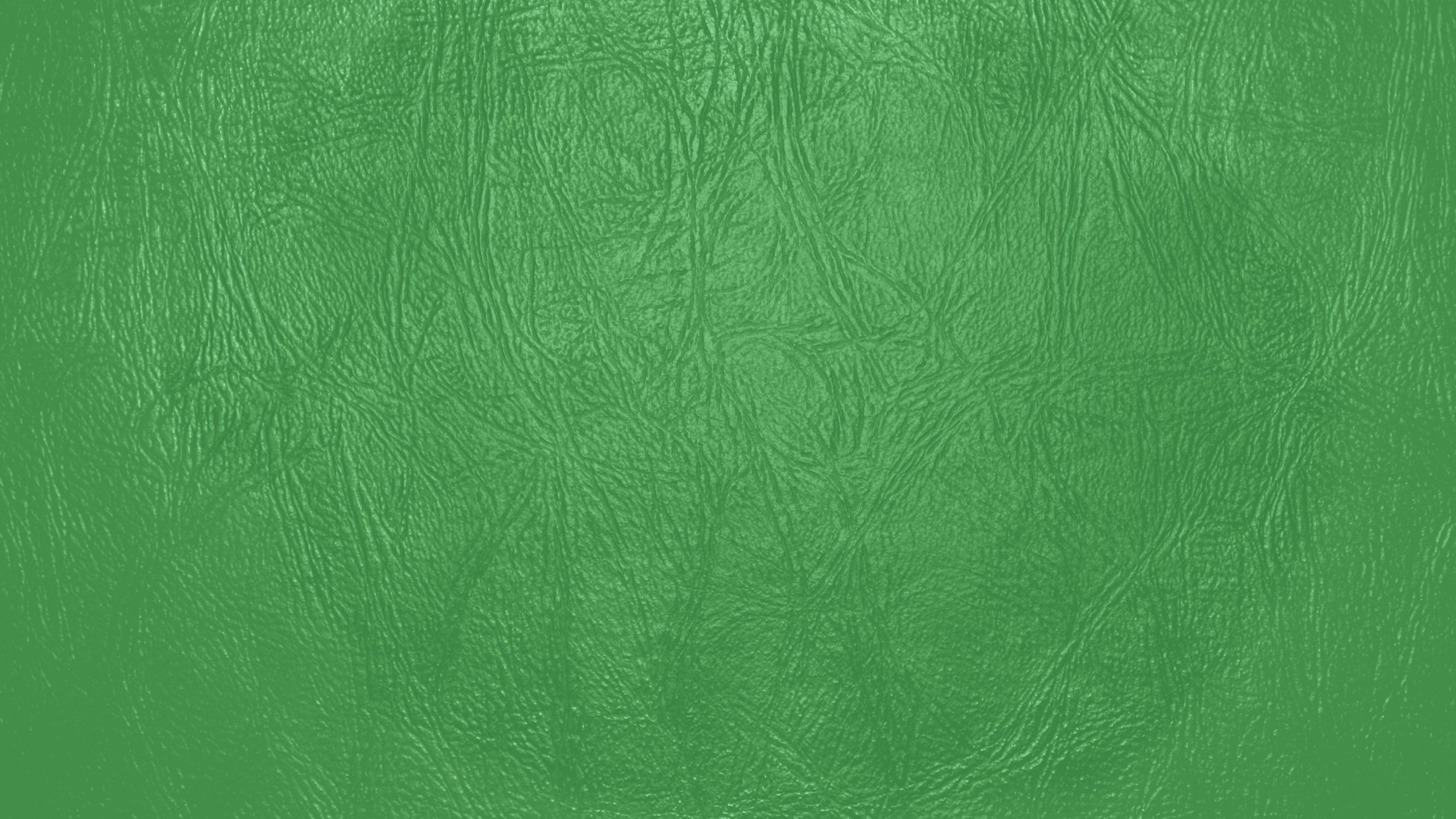 Green Textile With White and Black Textile. Wallpaper in 1920x1080 Resolution