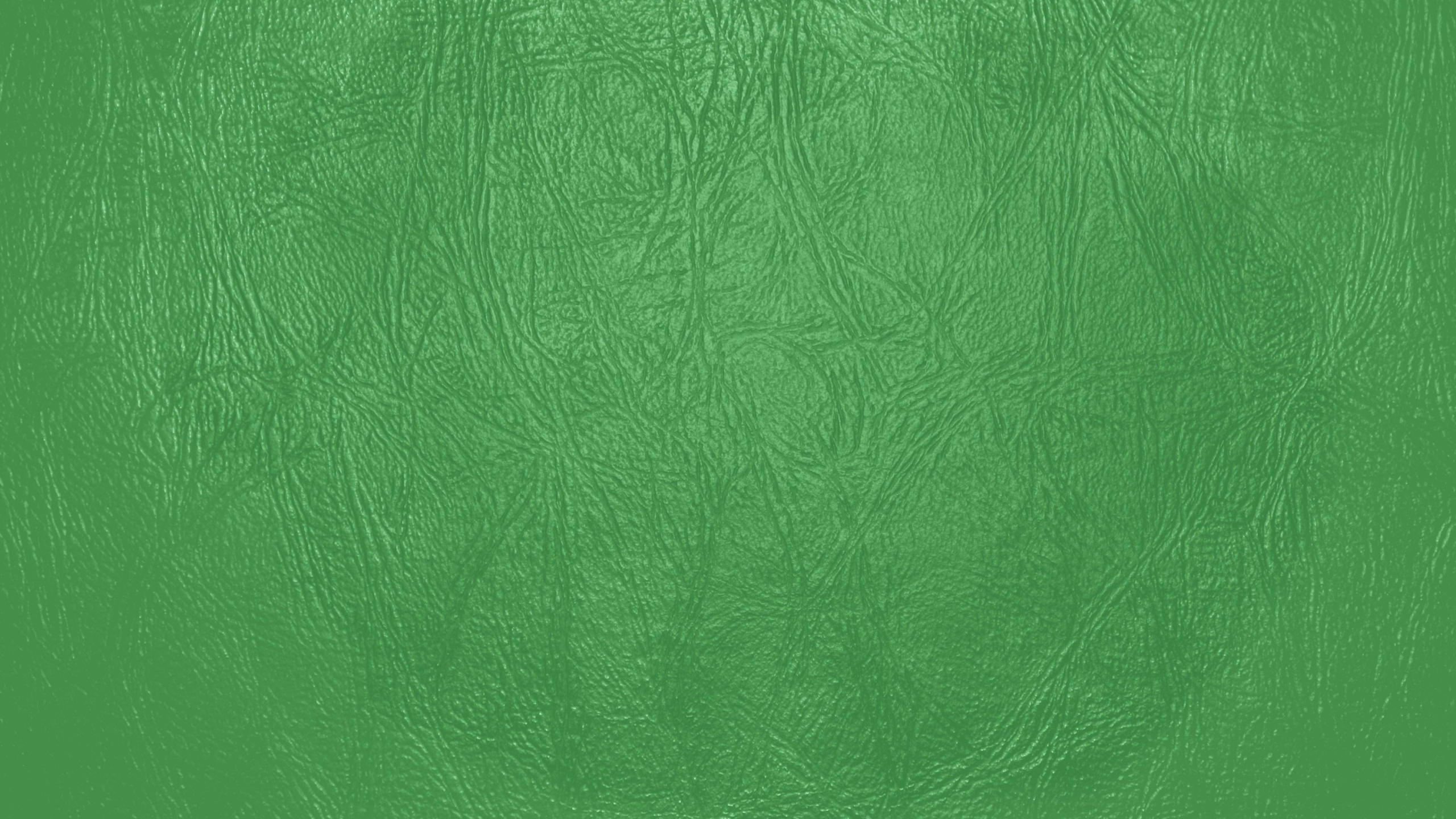 Green Textile With White and Black Textile. Wallpaper in 2560x1440 Resolution