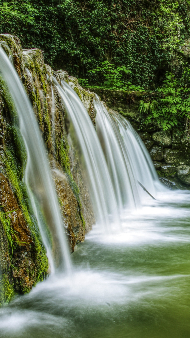 L'eau Tombe au Milieu Des Arbres Verts. Wallpaper in 750x1334 Resolution