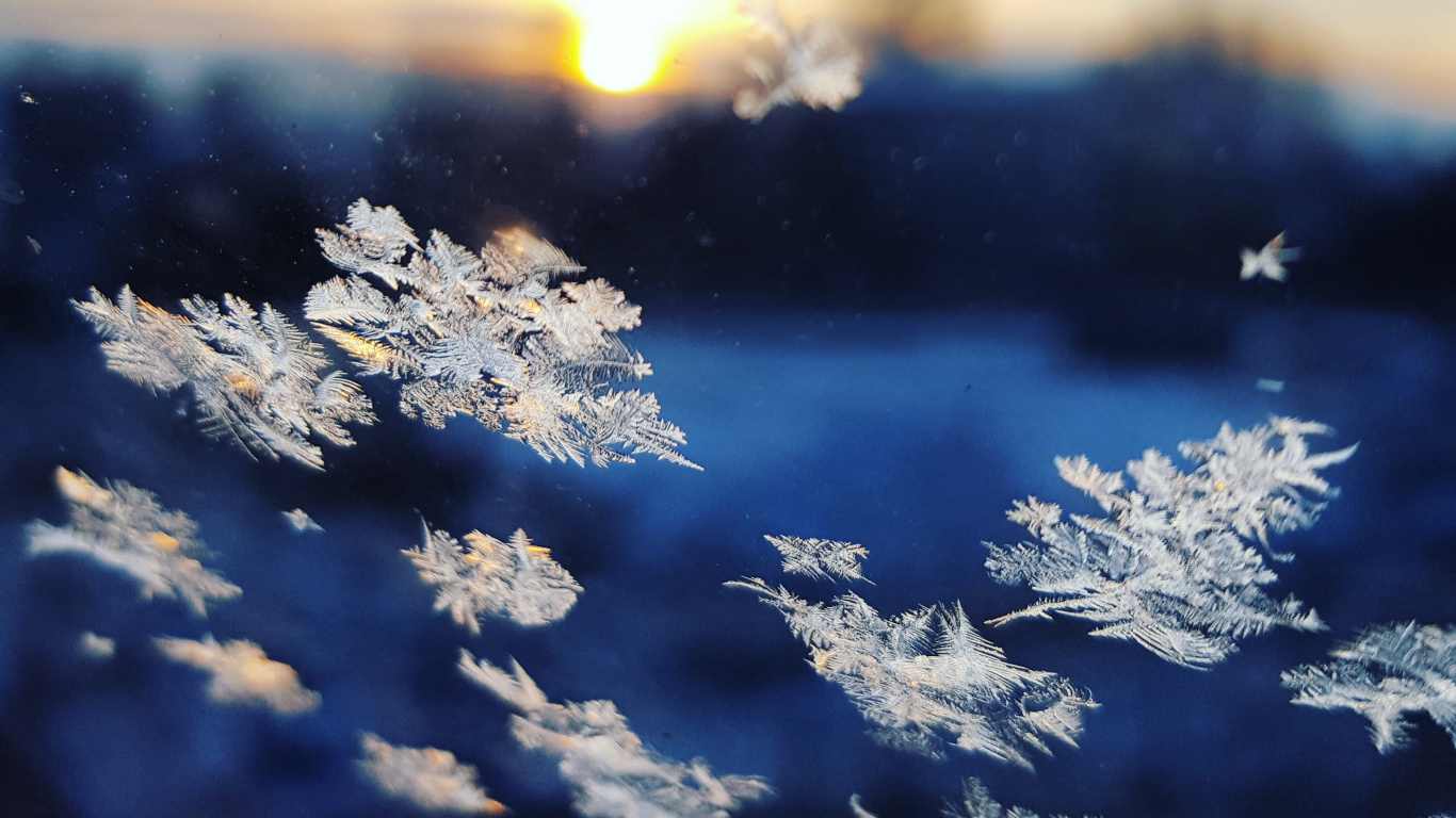 Snowflakes Falling, Snowflake, Cloud, Atmosphere, Daytime. Wallpaper in 1366x768 Resolution