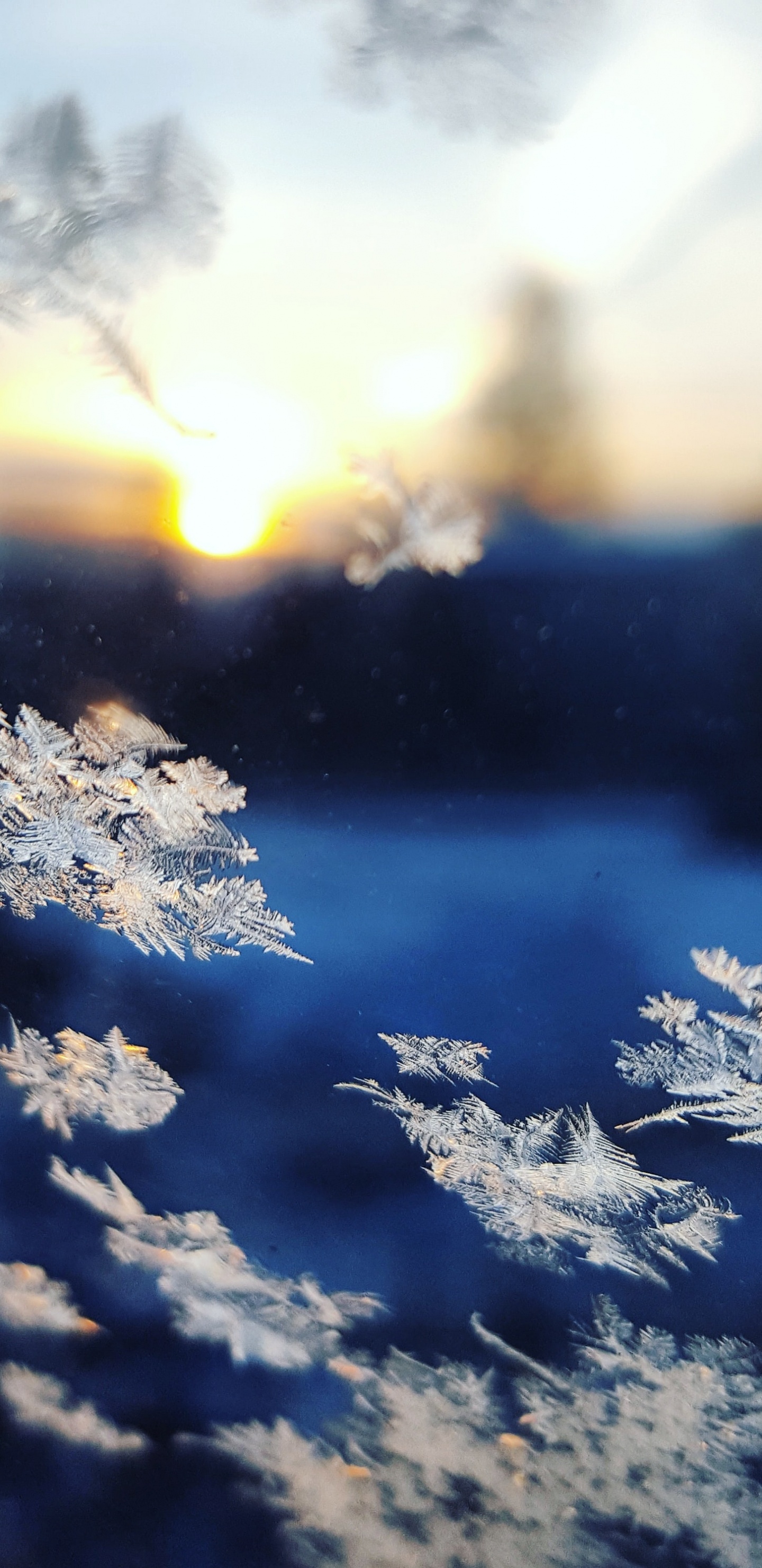 Snowflakes Falling, Snowflake, Cloud, Atmosphere, Daytime. Wallpaper in 1440x2960 Resolution