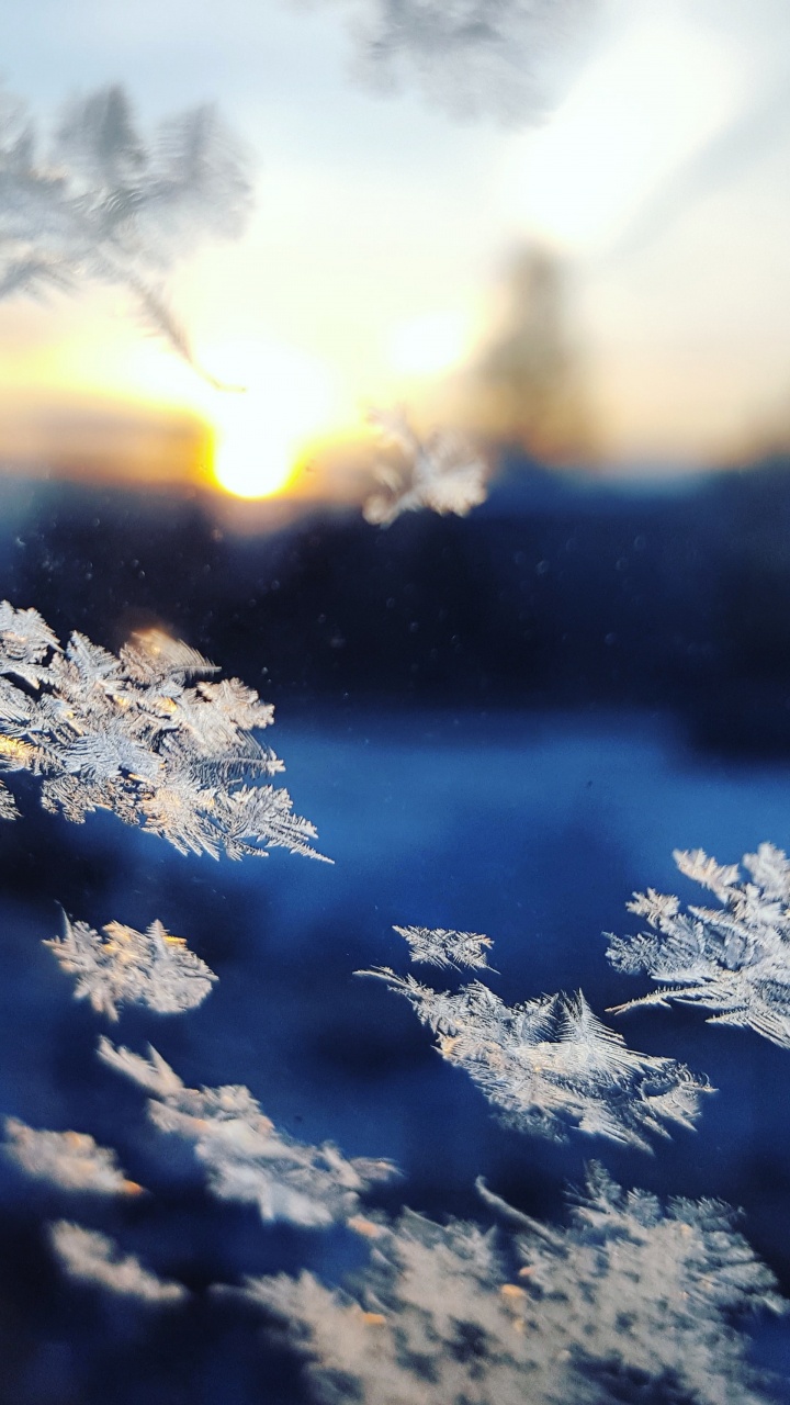 Snowflakes Falling, Snowflake, Cloud, Atmosphere, Daytime. Wallpaper in 720x1280 Resolution