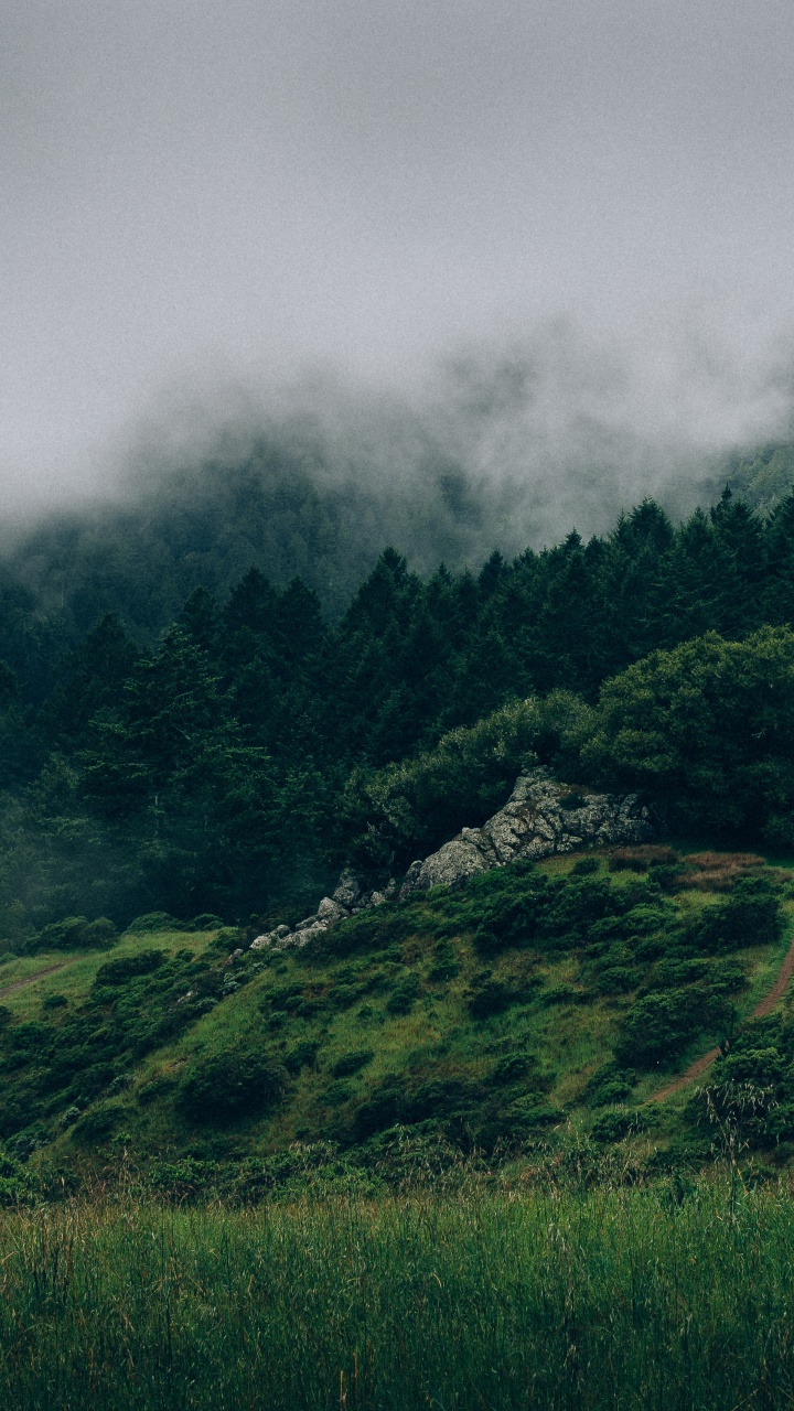性质, 多山的地貌, 高地, 绿色的, 植被 壁纸 720x1280 允许