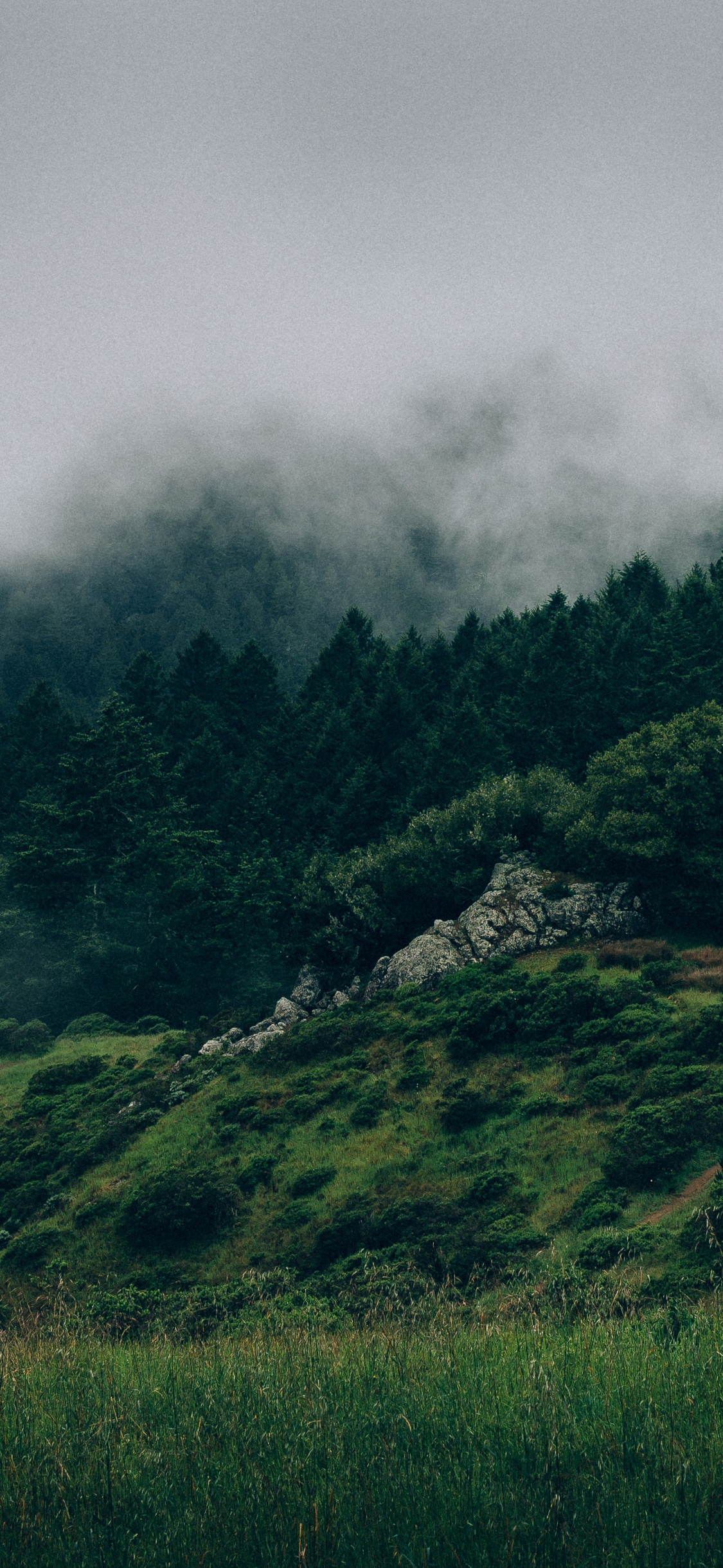 Green Grass Field Under Gray Clouds. Wallpaper in 1125x2436 Resolution