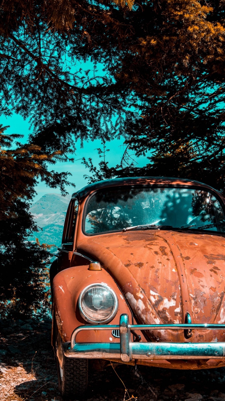 Altes Auto Unter Baum Geparkt, Volkswagen Beetle, Car, Oldtimer, Volkswagen. Wallpaper in 720x1280 Resolution