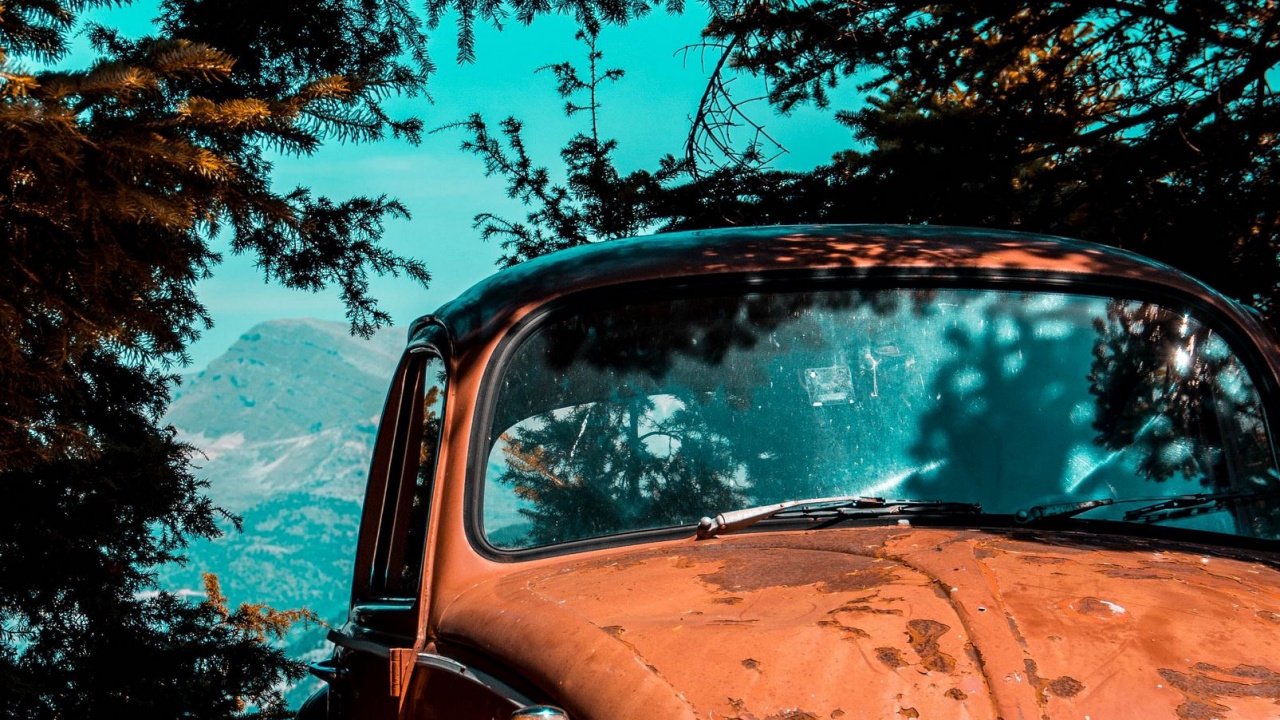 Vieille Voiture Garée Sous un Arbre, Volkswagen Beetle, Voiture de Collection, Volkswagen, Volvo PV444. Wallpaper in 1280x720 Resolution
