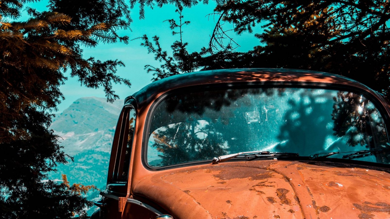Vieille Voiture Garée Sous un Arbre, Volkswagen Beetle, Voiture de Collection, Volkswagen, Volvo PV444. Wallpaper in 1366x768 Resolution
