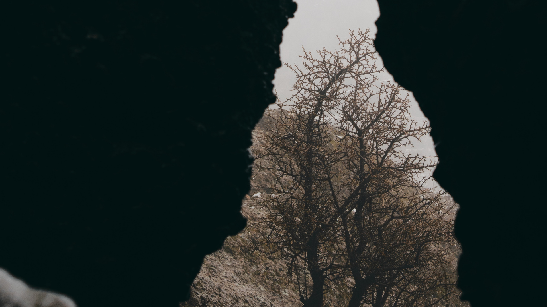 Rock, Black, Branch, M-tree, Cloud. Wallpaper in 1920x1080 Resolution