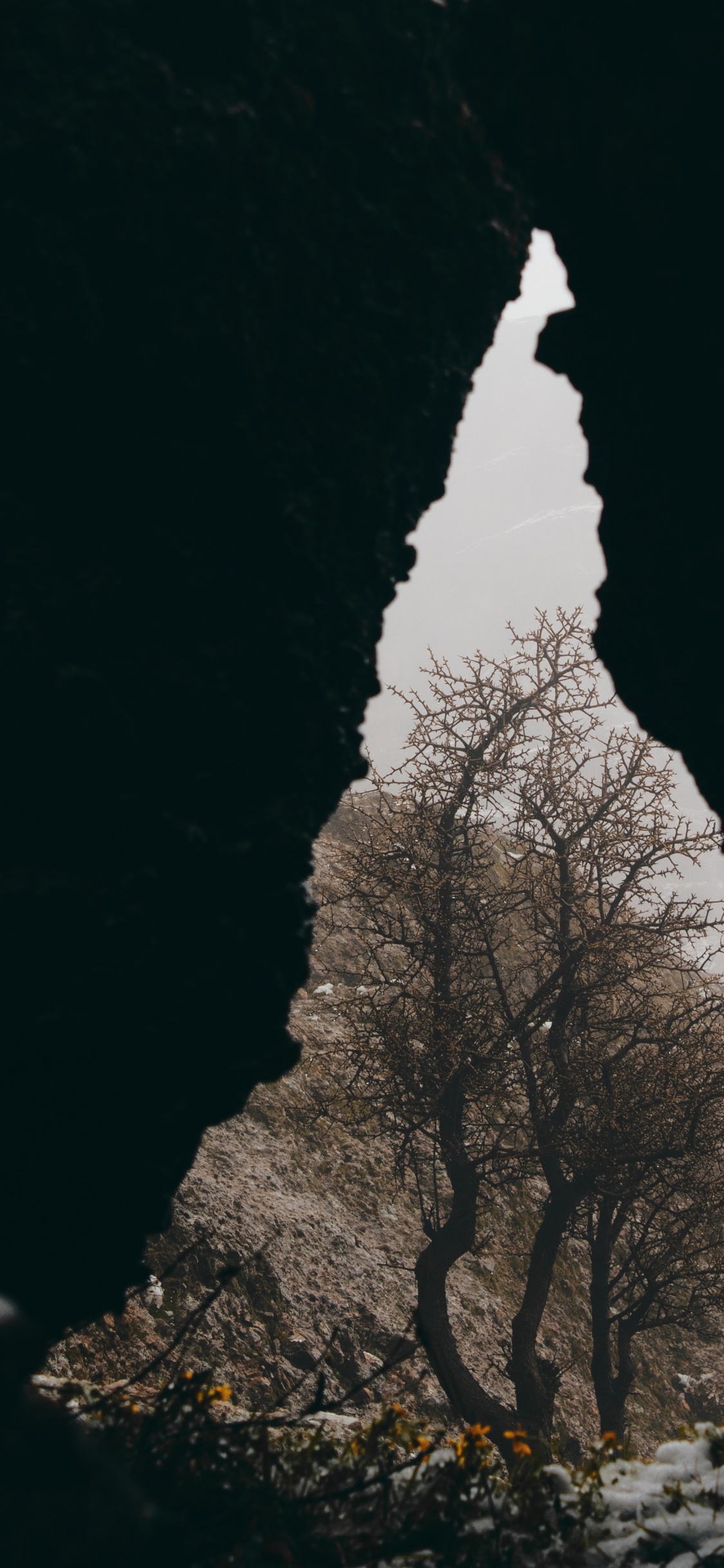 Rock, Schwarz, Branch, M-Baum, Cloud. Wallpaper in 1125x2436 Resolution