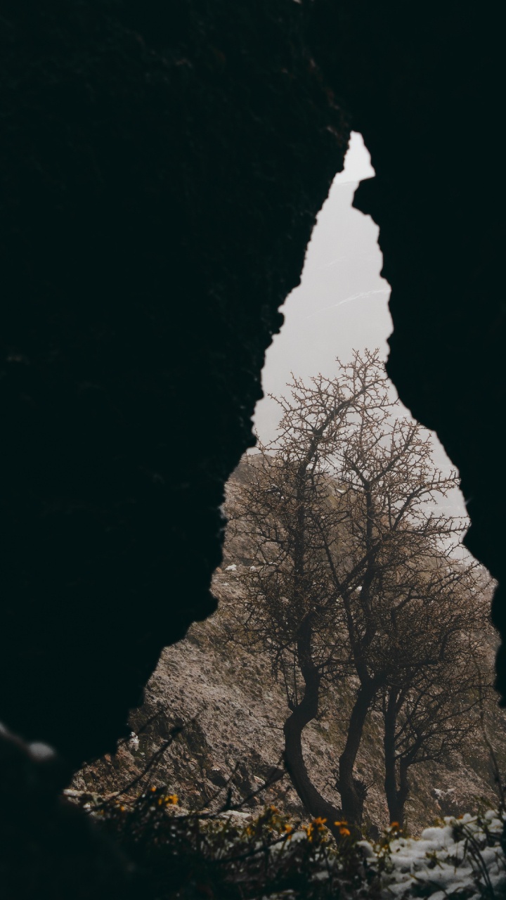 Rock, Schwarz, Branch, M-Baum, Cloud. Wallpaper in 720x1280 Resolution