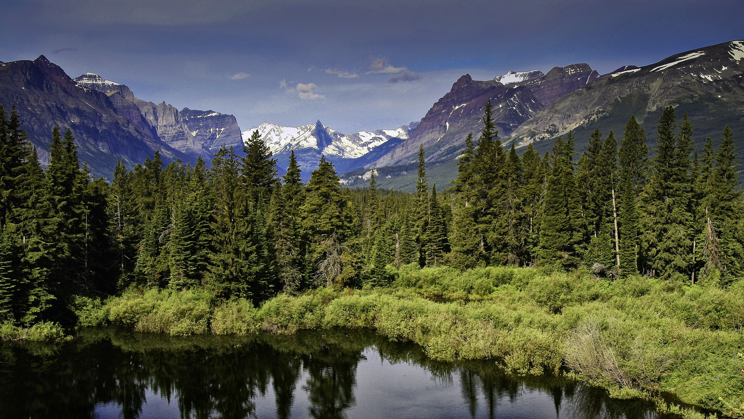 Green Trees Near Lake and Mountain Range. Wallpaper in 2560x1440 Resolution