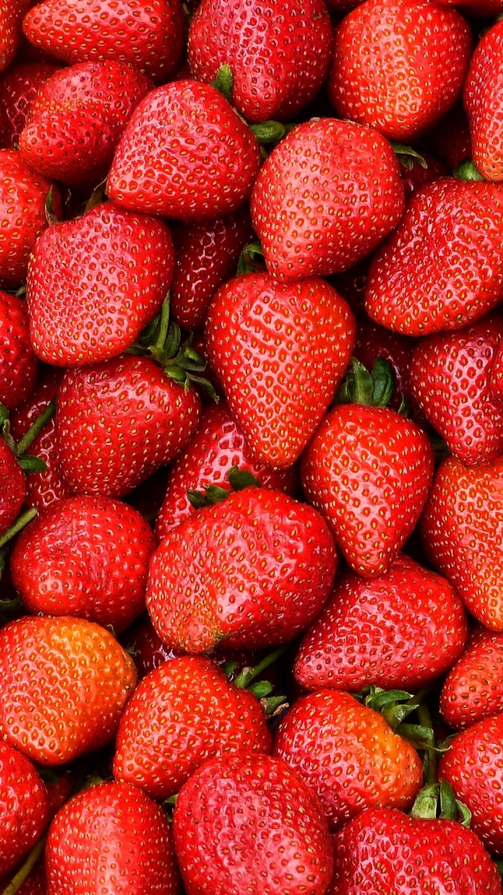 Strawberry Ripe, Strawberry, Strawberry Pie, Berry, Fruit. Wallpaper in 720x1280 Resolution