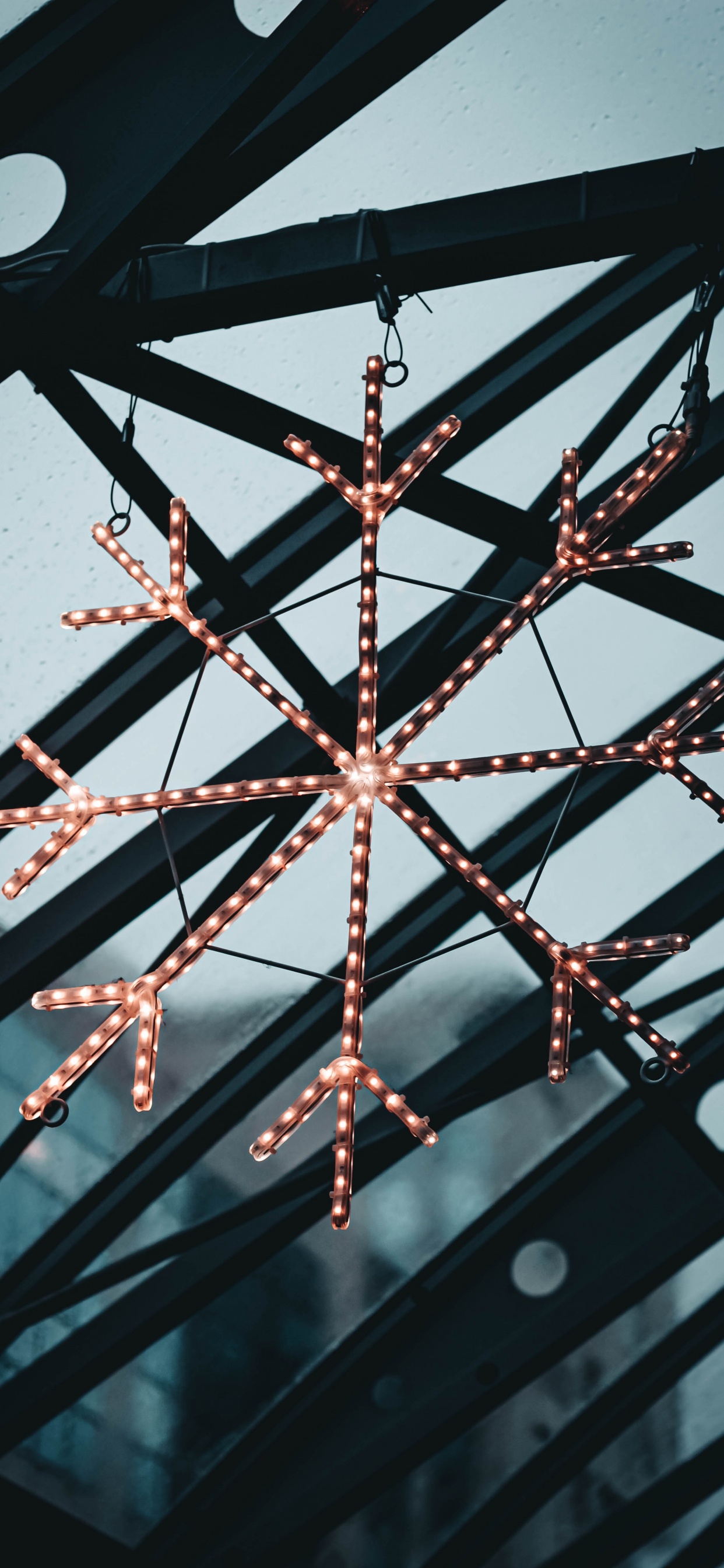 Rote Und Schwarze Lichterketten. Wallpaper in 1242x2688 Resolution