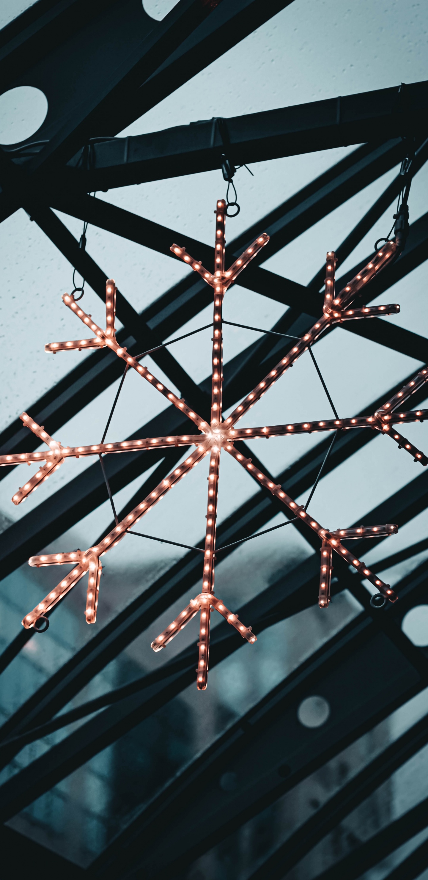 Rote Und Schwarze Lichterketten. Wallpaper in 1440x2960 Resolution