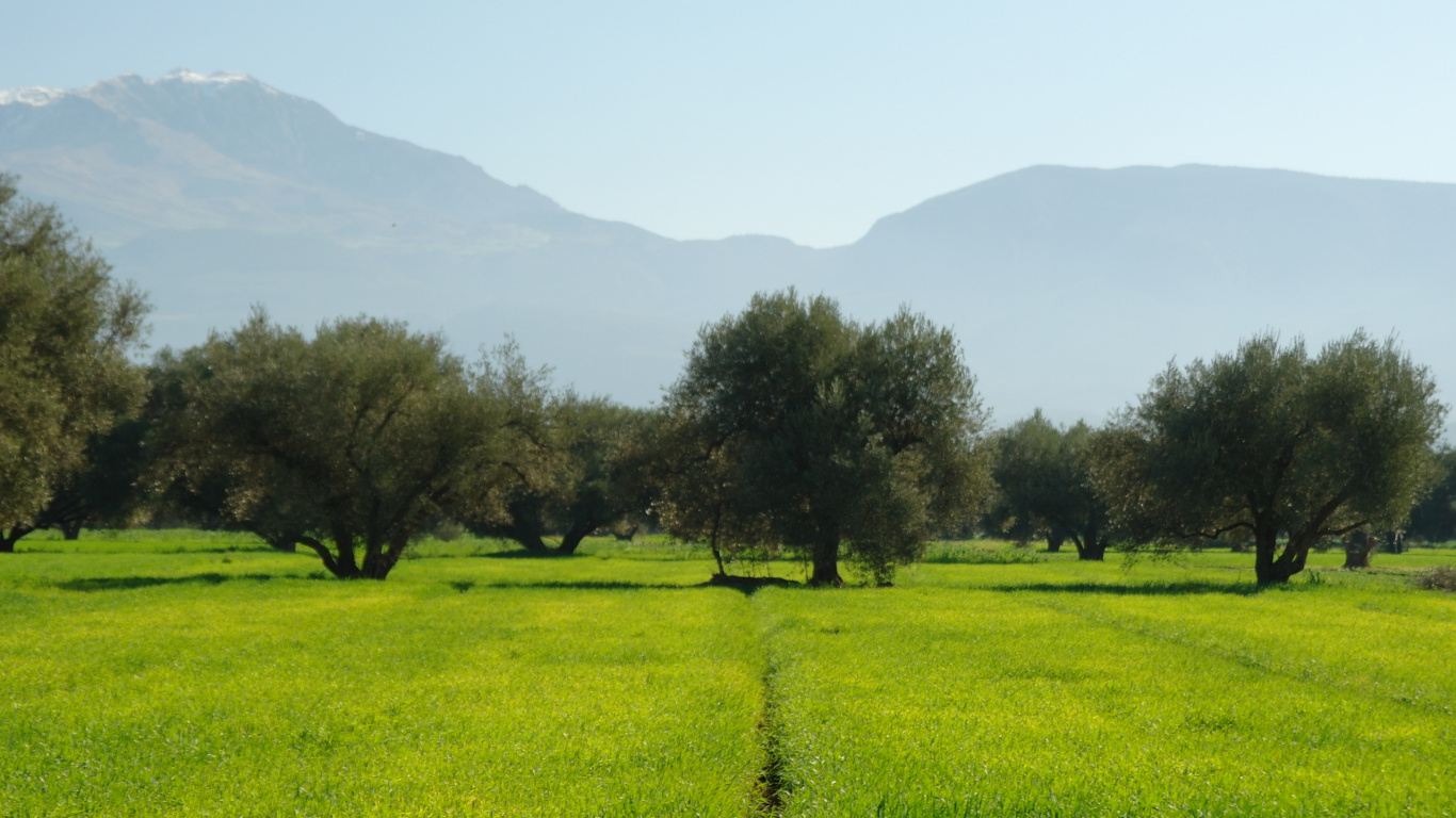 Campo de Hierba Verde Con Árboles y Montañas en la Distancia. Wallpaper in 1366x768 Resolution