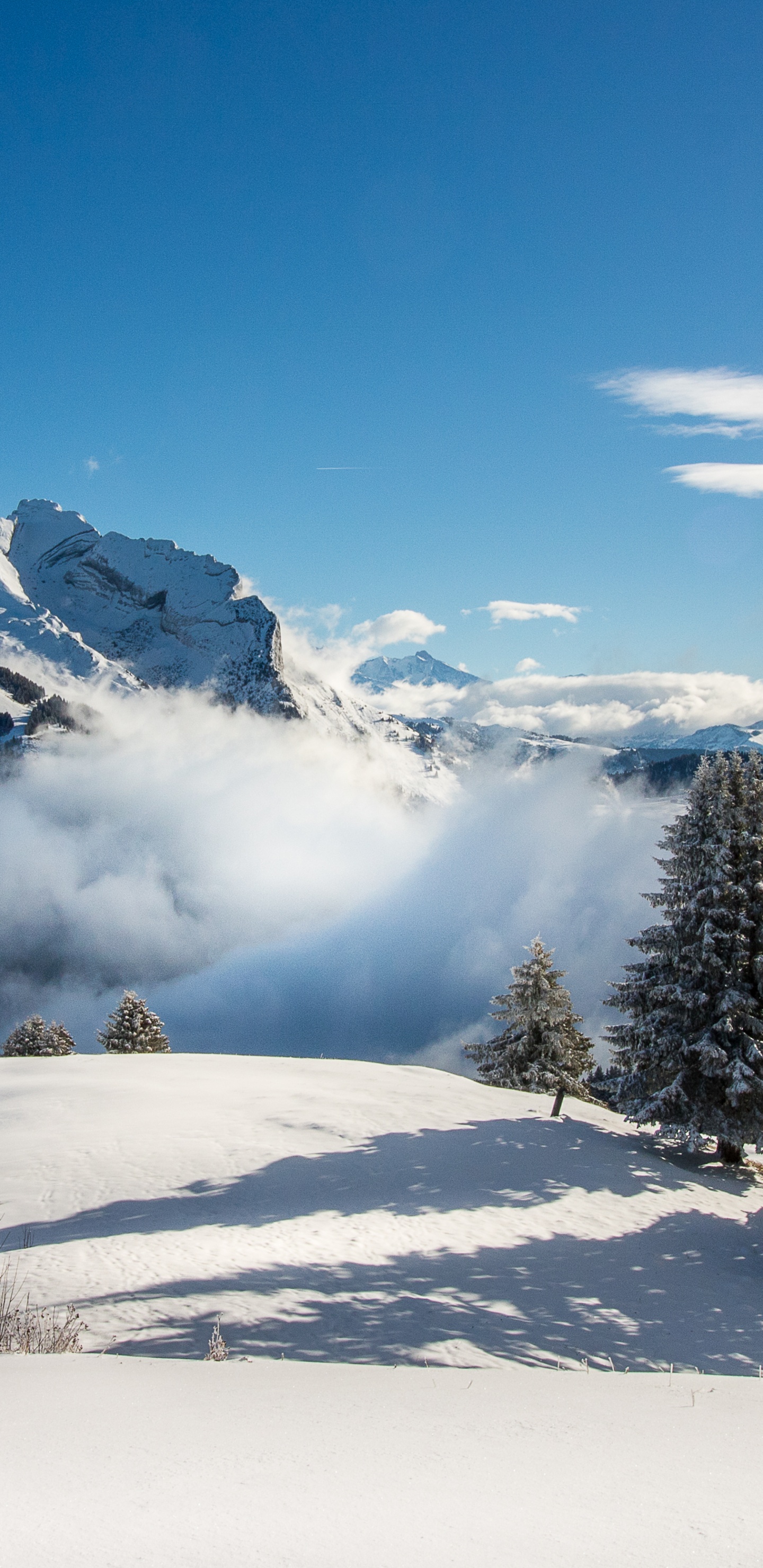 la Clusaz, Cloud, Mountain, Snow, Plant. Wallpaper in 1440x2960 Resolution