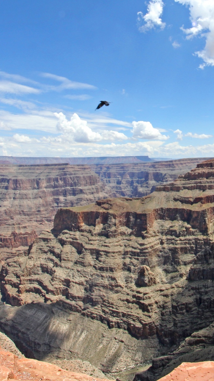 Person in Black Jacket Standing on Brown Rock Formation During Daytime. Wallpaper in 720x1280 Resolution