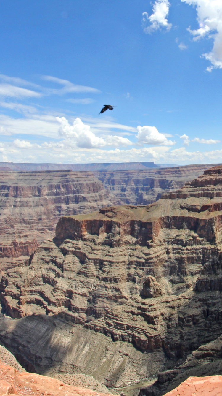 Person in Black Jacket Standing on Brown Rock Formation During Daytime. Wallpaper in 750x1334 Resolution