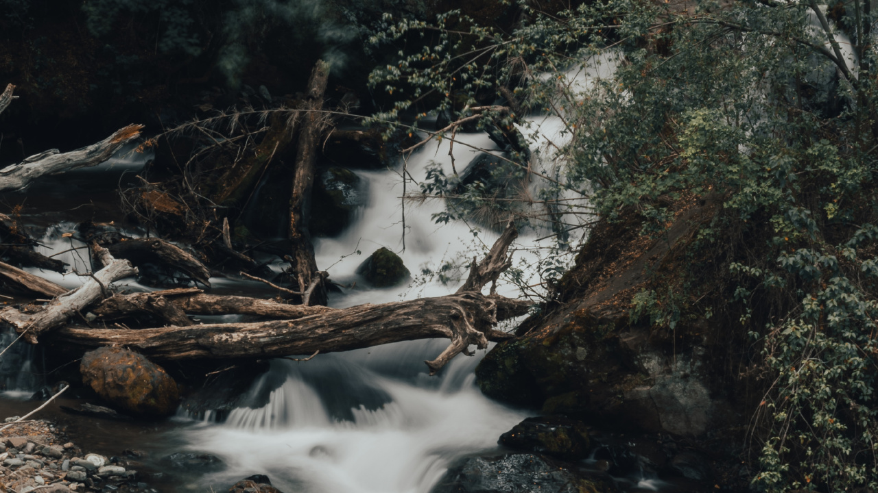 Flux, Rainforest, Cours D'eau, Eau, Paysage Naturel. Wallpaper in 1280x720 Resolution