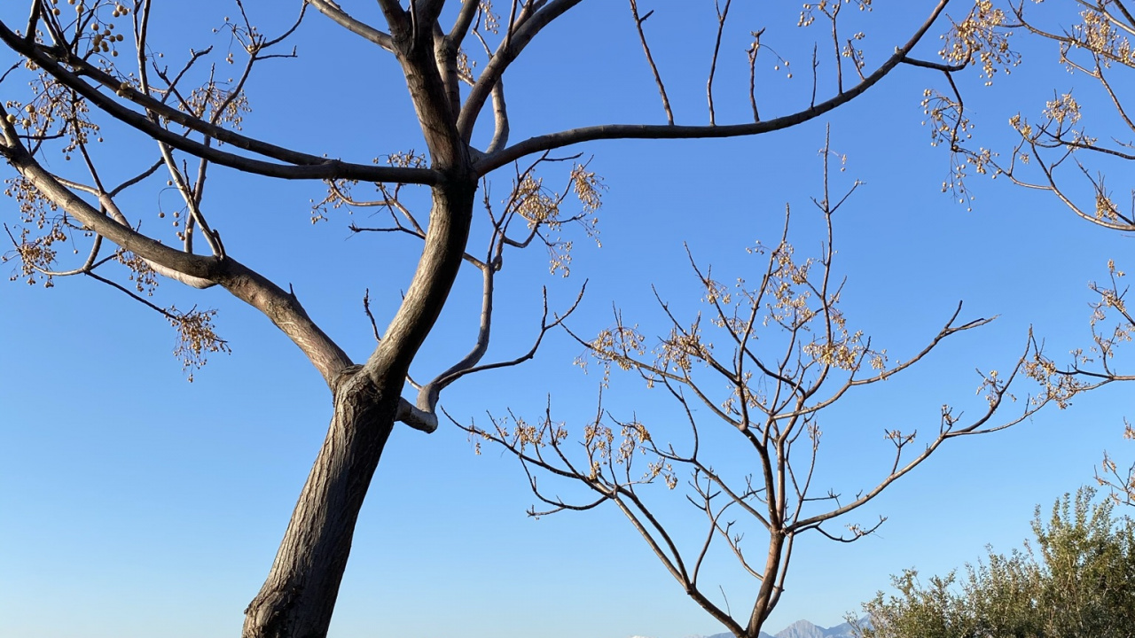 Ciencia, la Física, Biología, Agua, Ecorregión. Wallpaper in 1280x720 Resolution