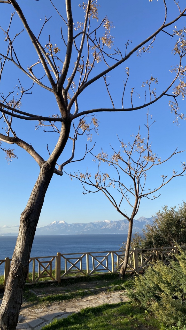 Ciencia, la Física, Biología, Agua, Ecorregión. Wallpaper in 720x1280 Resolution