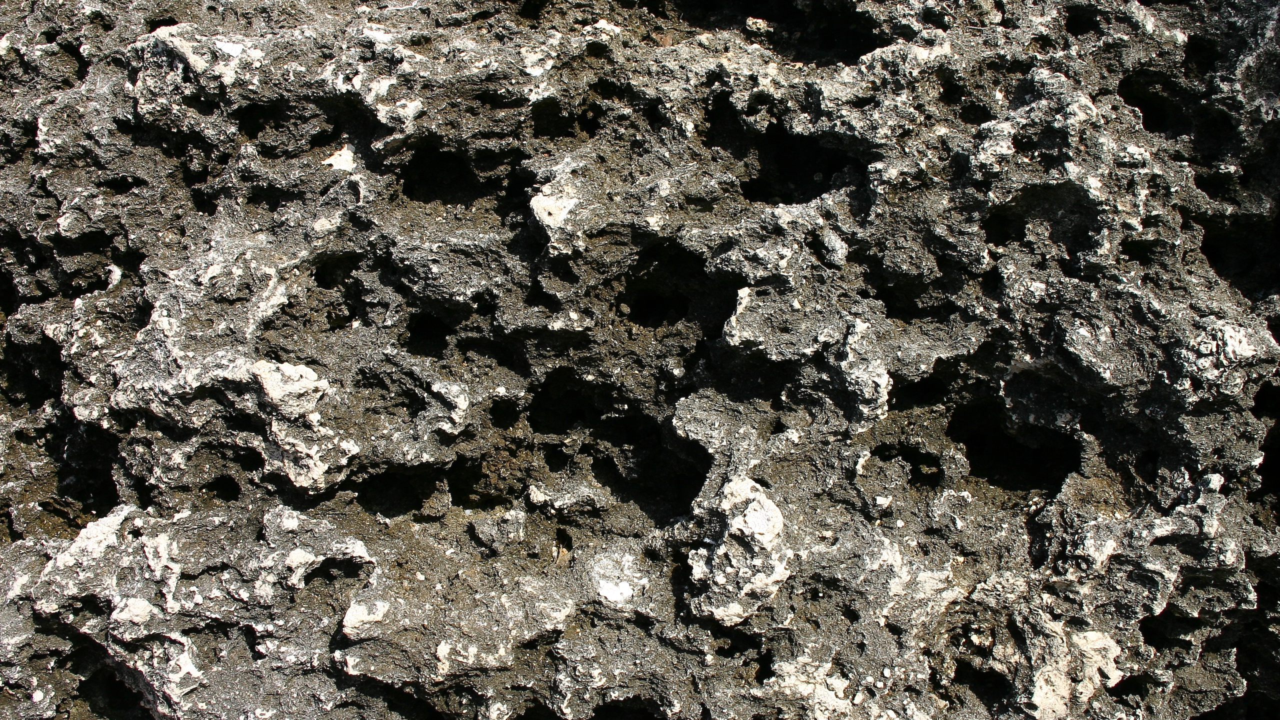 Fragment de Pierre Noir et Blanc. Wallpaper in 2560x1440 Resolution