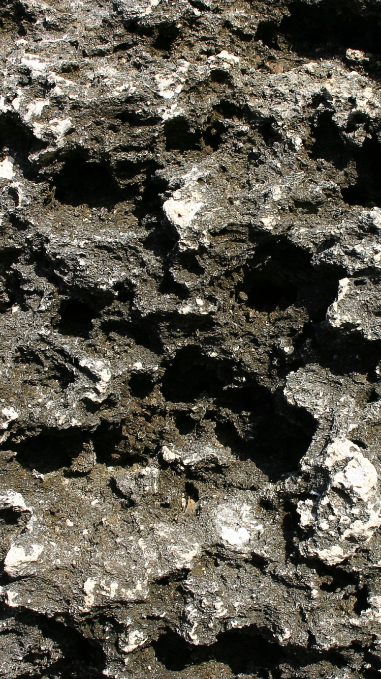 Fragmento de Piedra Blanco y Negro. Wallpaper in 750x1334 Resolution