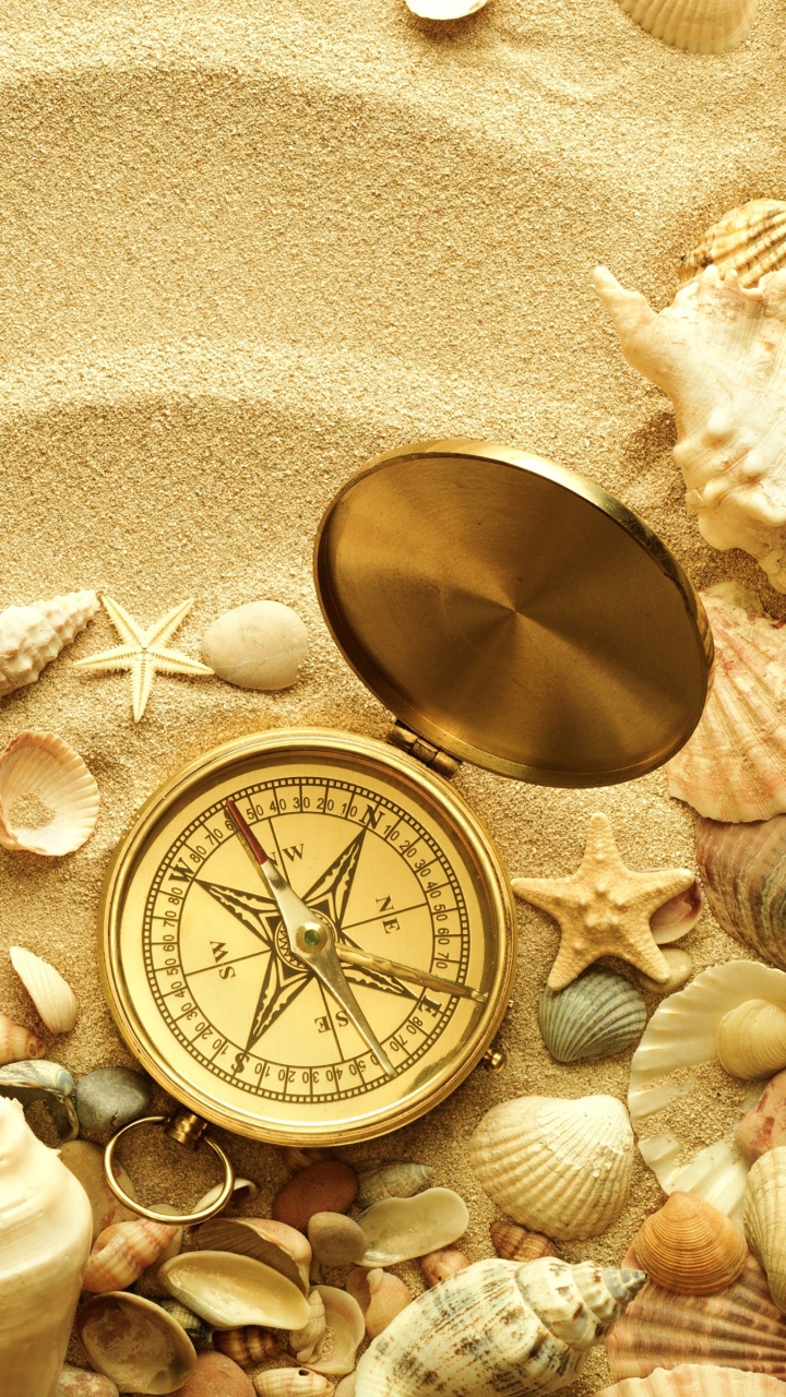 Meer Soll, Seashell, Meer, Strand, Ozean. Wallpaper in 720x1280 Resolution