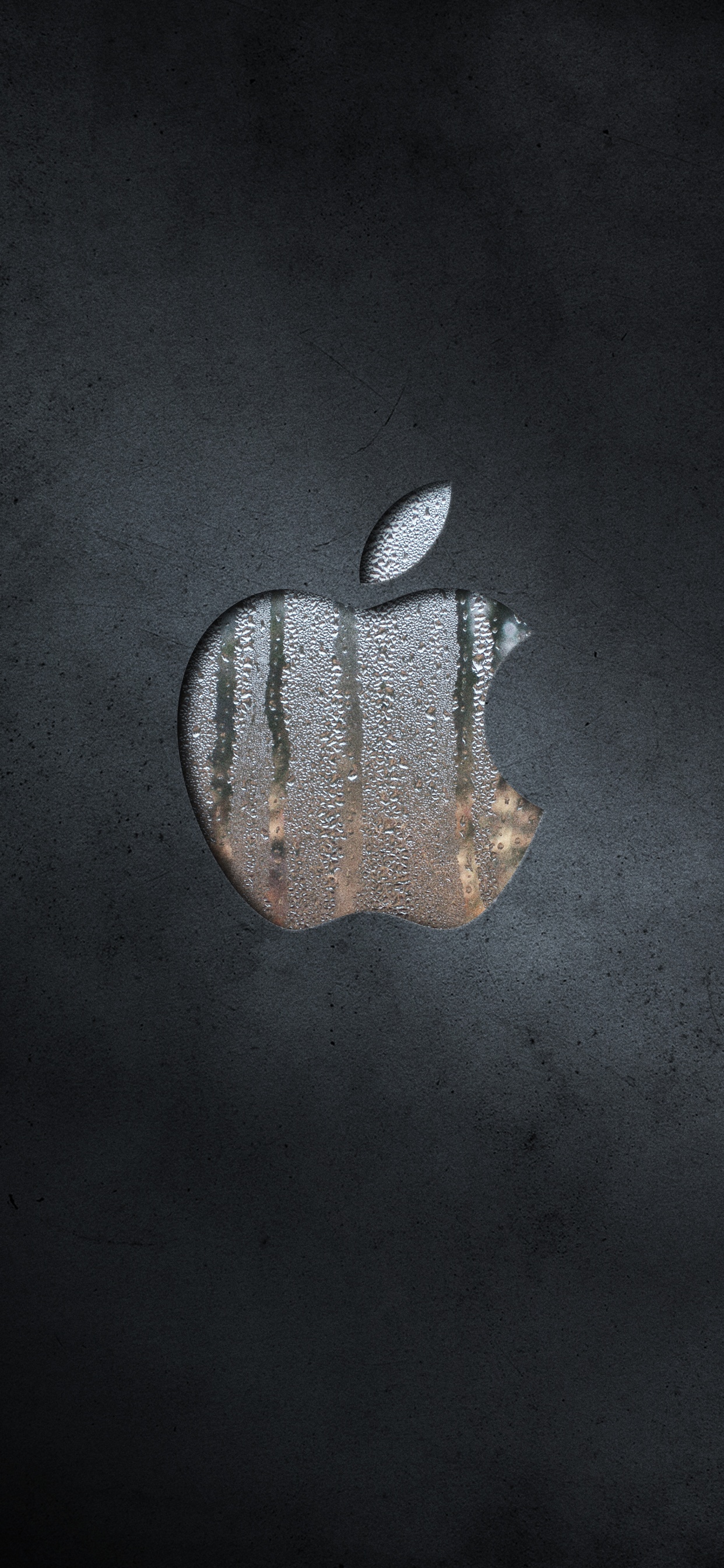 Apple, Blatt, Hand, Arm. Wallpaper in 1242x2688 Resolution